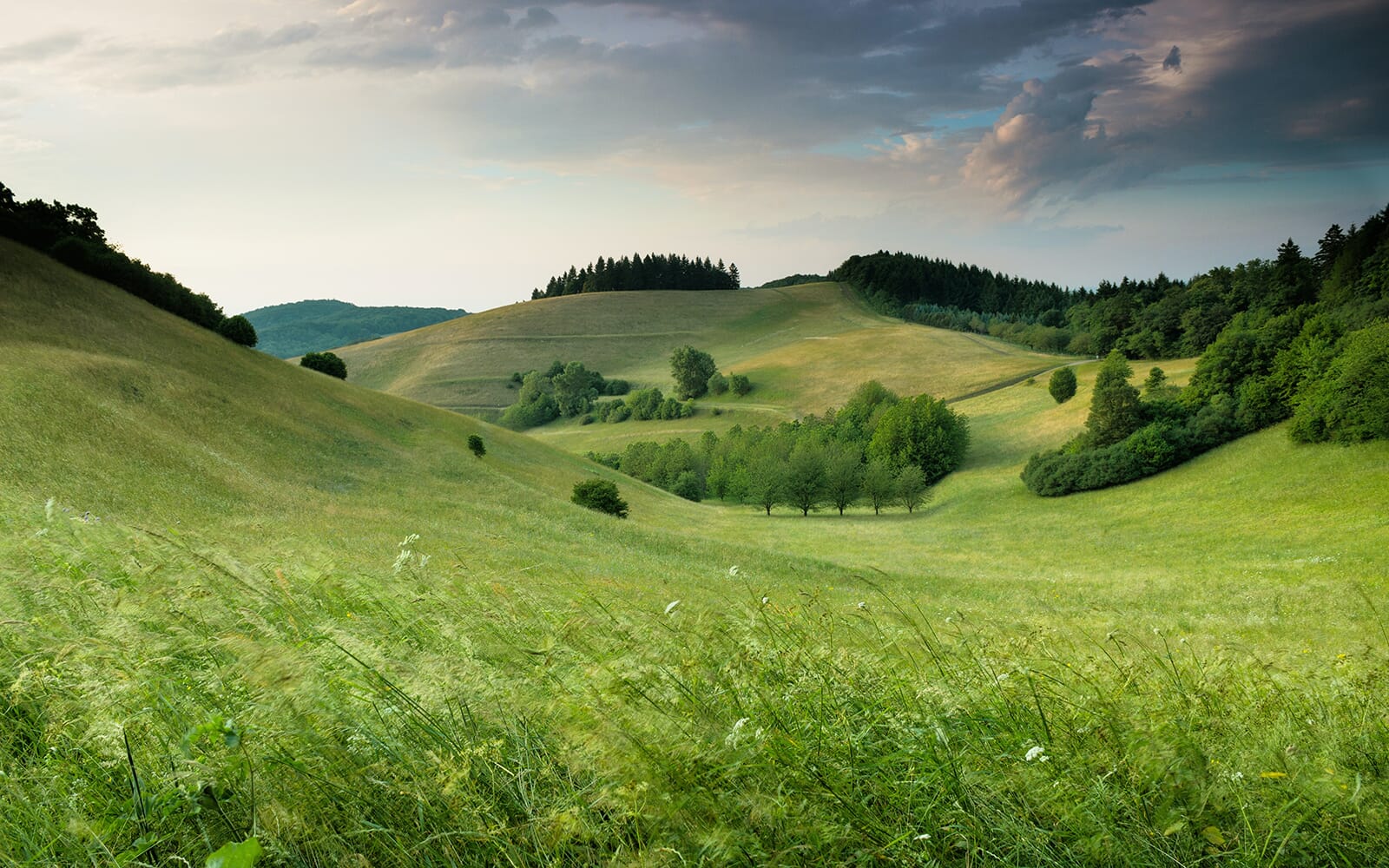 Rolling hills in Germany at sunset