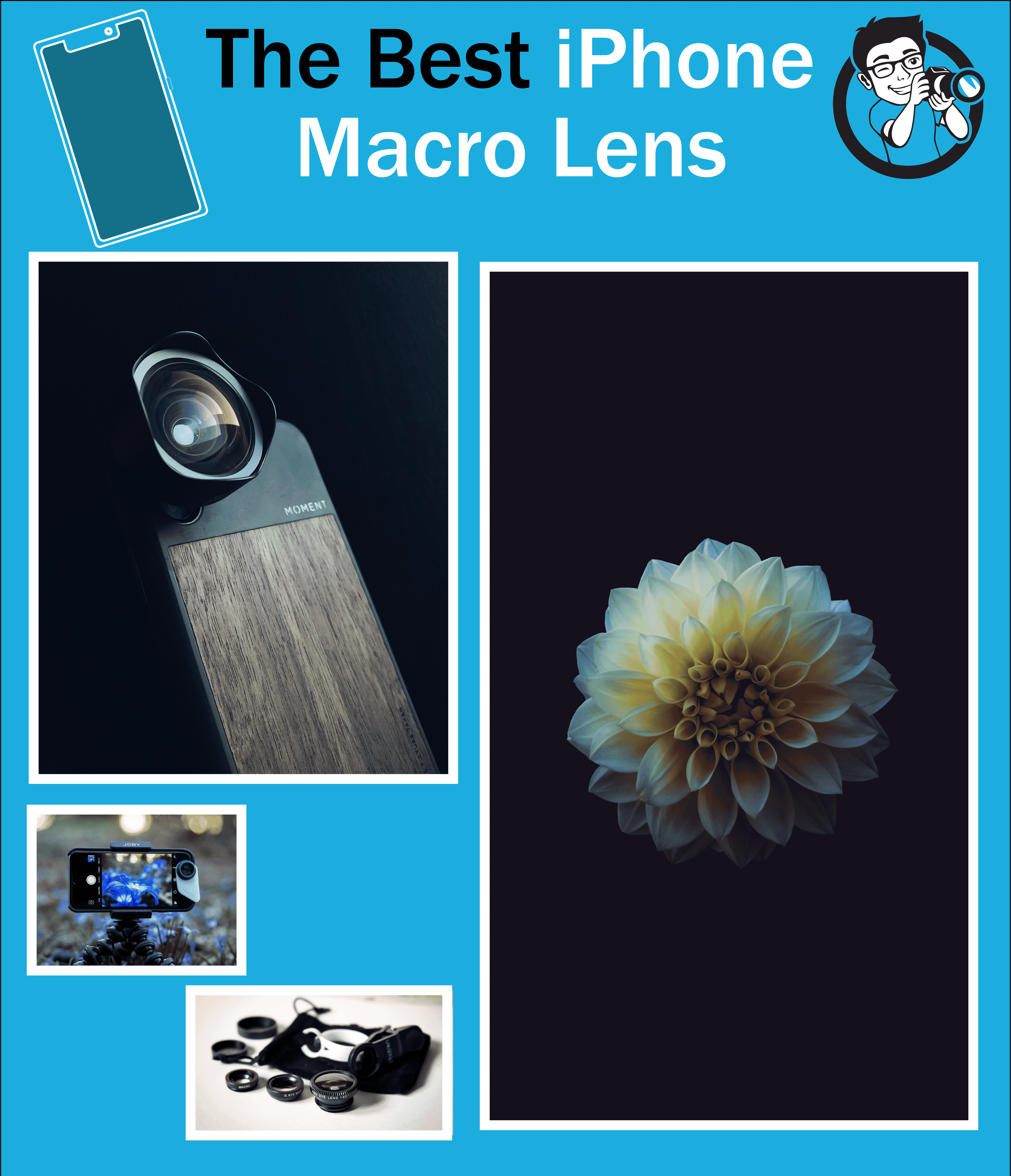 Best iPhone Macro Lens: 5 Top Picks (incl. Buying Guide)