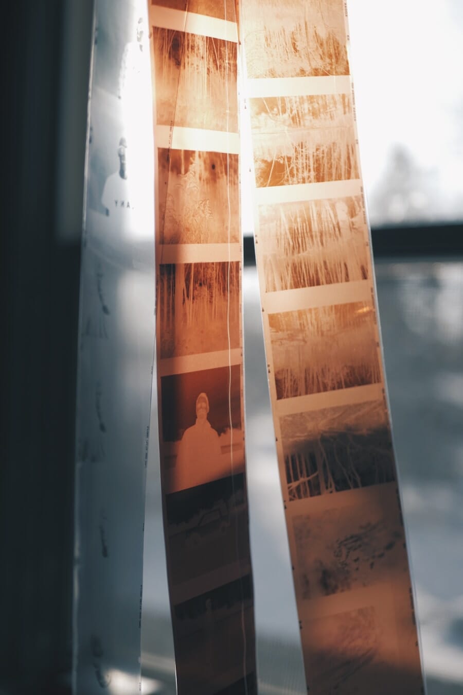 A photographer inspecting and scanning film negatives