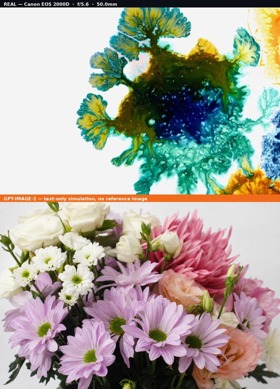 Comparison: real Canon EOS 2000D photo (top) vs gpt-image-2 text-only simulation (bottom), a close up of a bunch of flowers on a white background scene