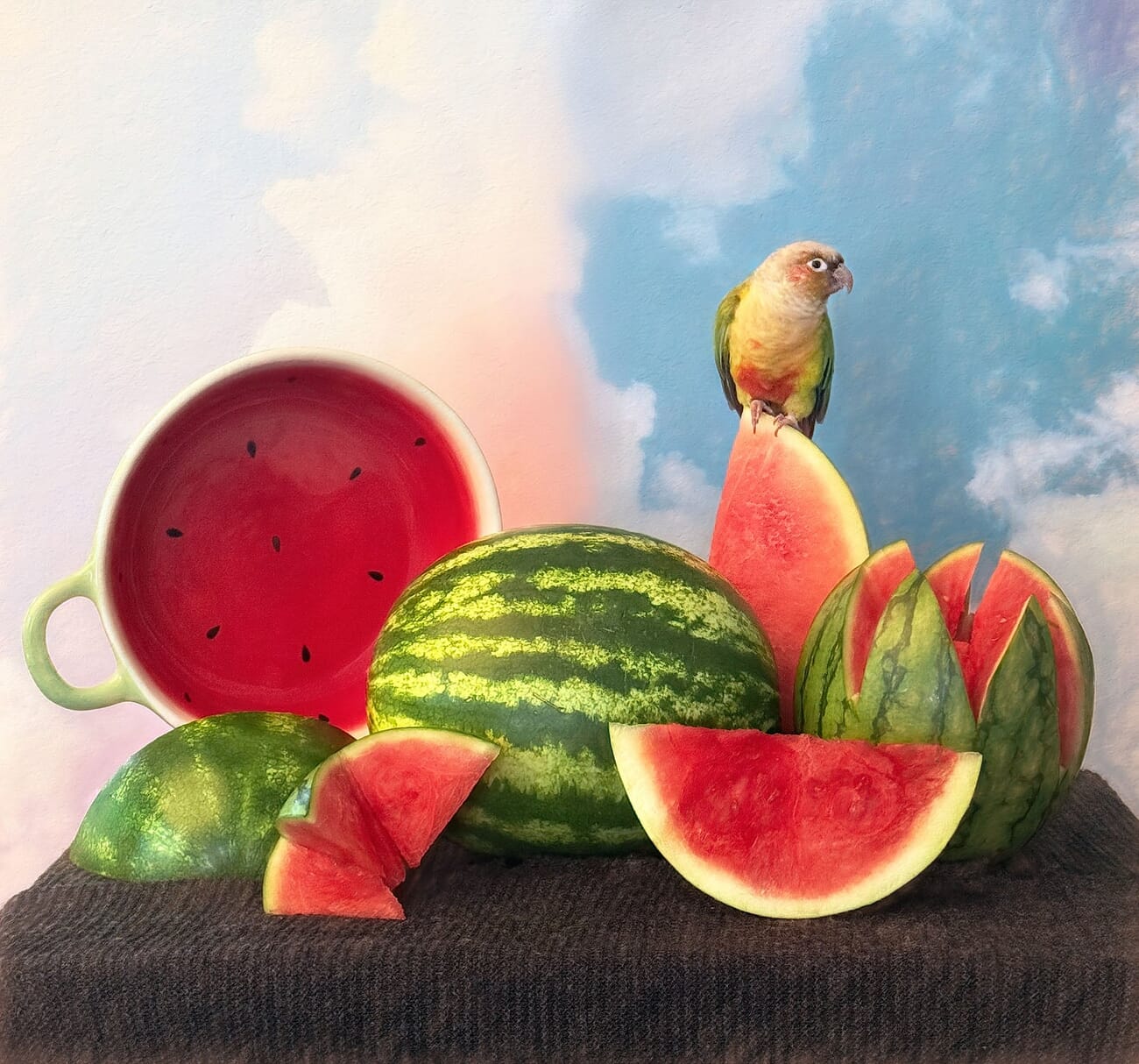 Bronze winning photo of the 2026 iPhone Photography Awards: a colorful parrot perched on a watermelon slice among whole and cut watermelons against a soft sky