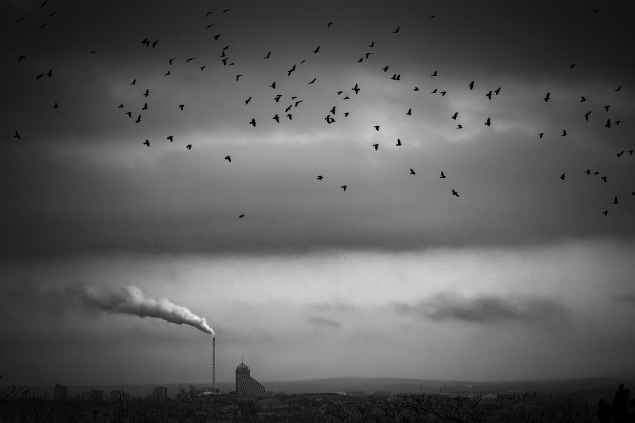 Cityscape category winner, a flock of birds over a smokestack skyline by Adrian Beasley