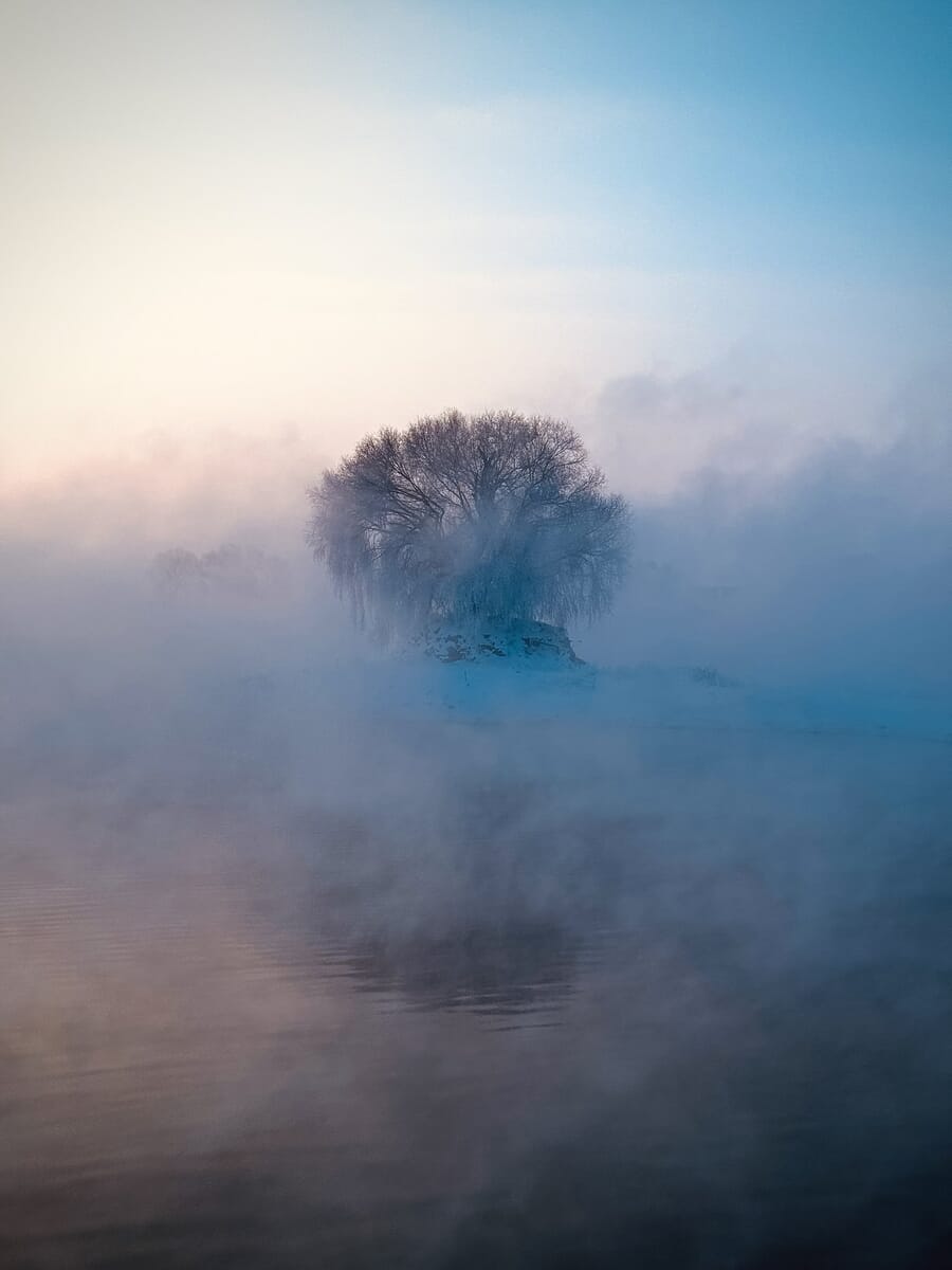Nature category winner, a lone tree in freezing fog outside Hohhot by Tianjiao Zhang