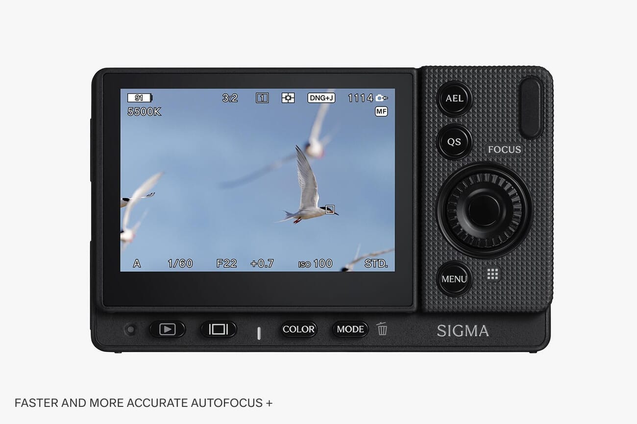 The rear touchscreen of the Sigma FP2 showing a bird-in-flight autofocus tracking demo