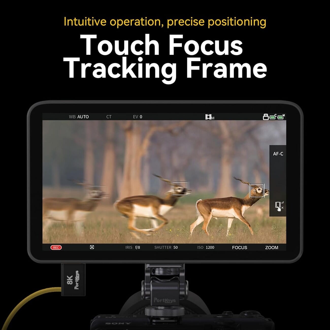 Portkeys LH7C 7-inch on-camera monitor front view