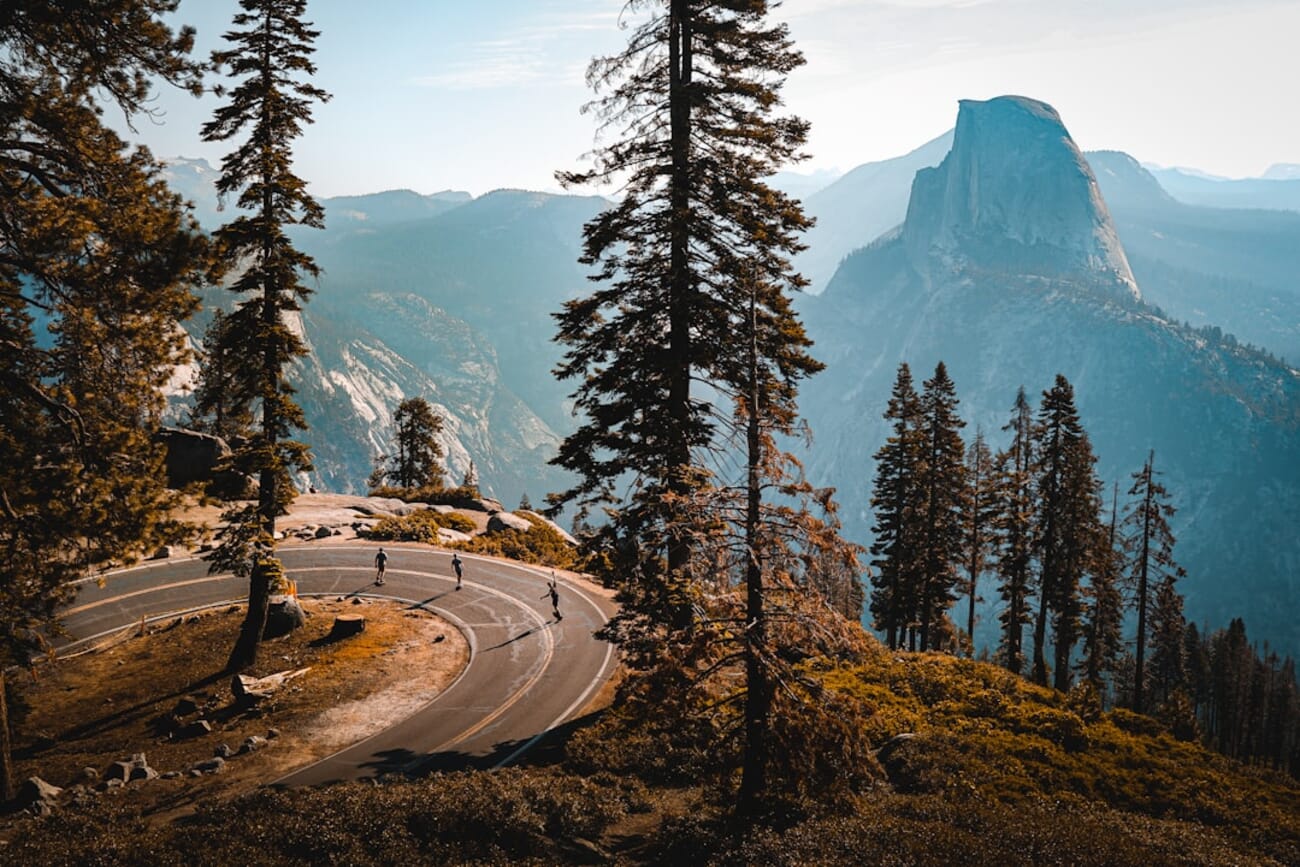 Winding pathway through trees in Yosemite National Park