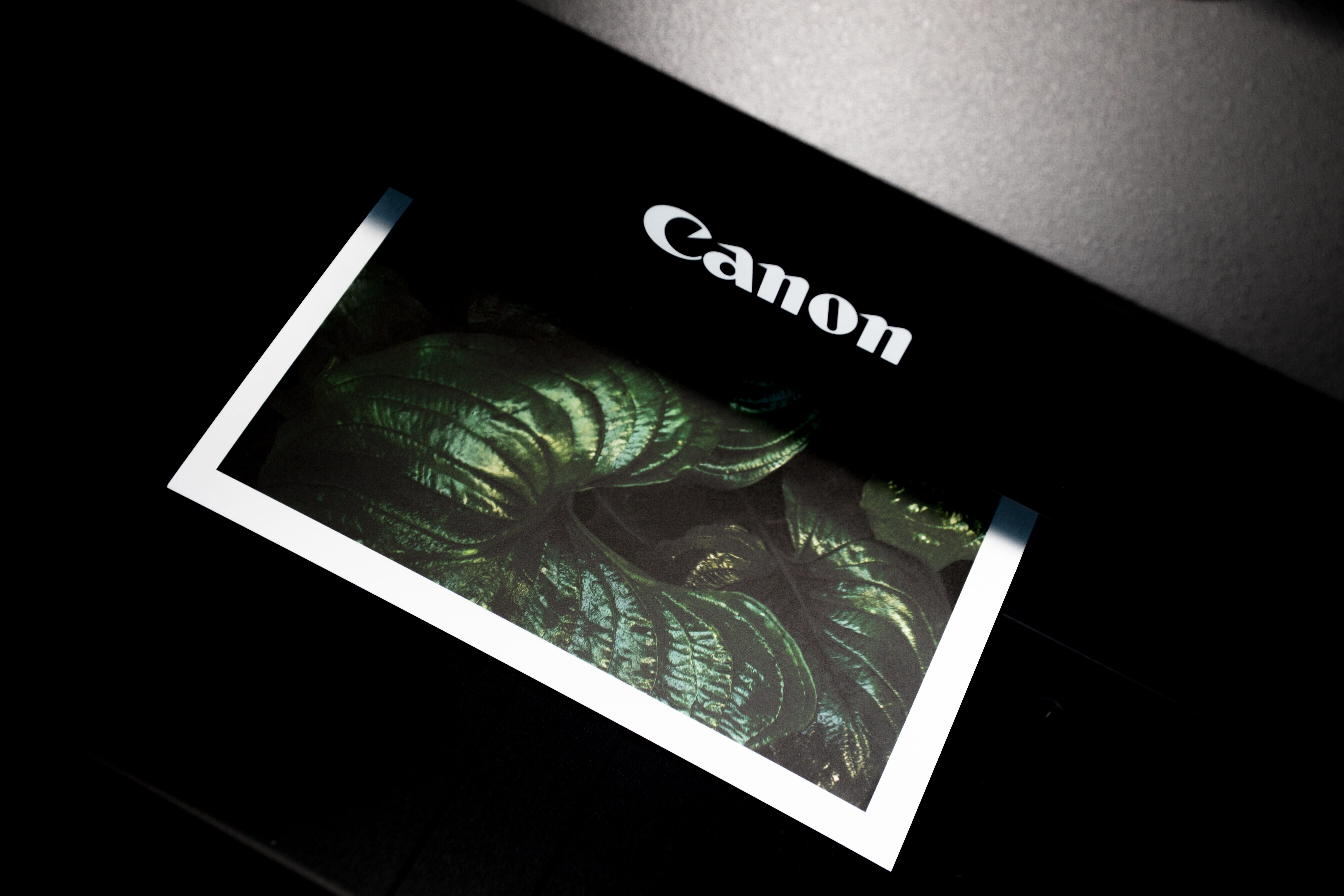 Looks for printers the specialize in photography!