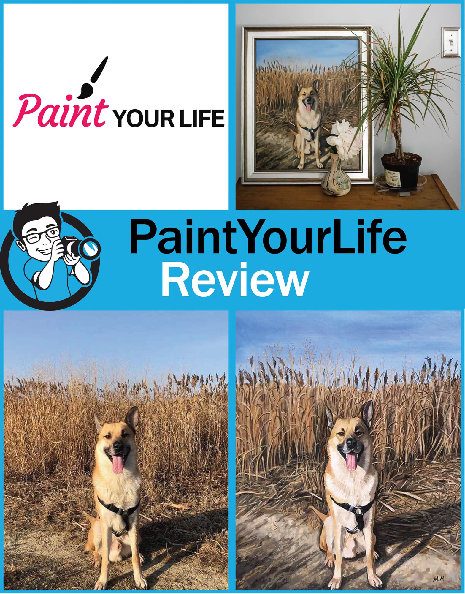 Paint Your Life Review