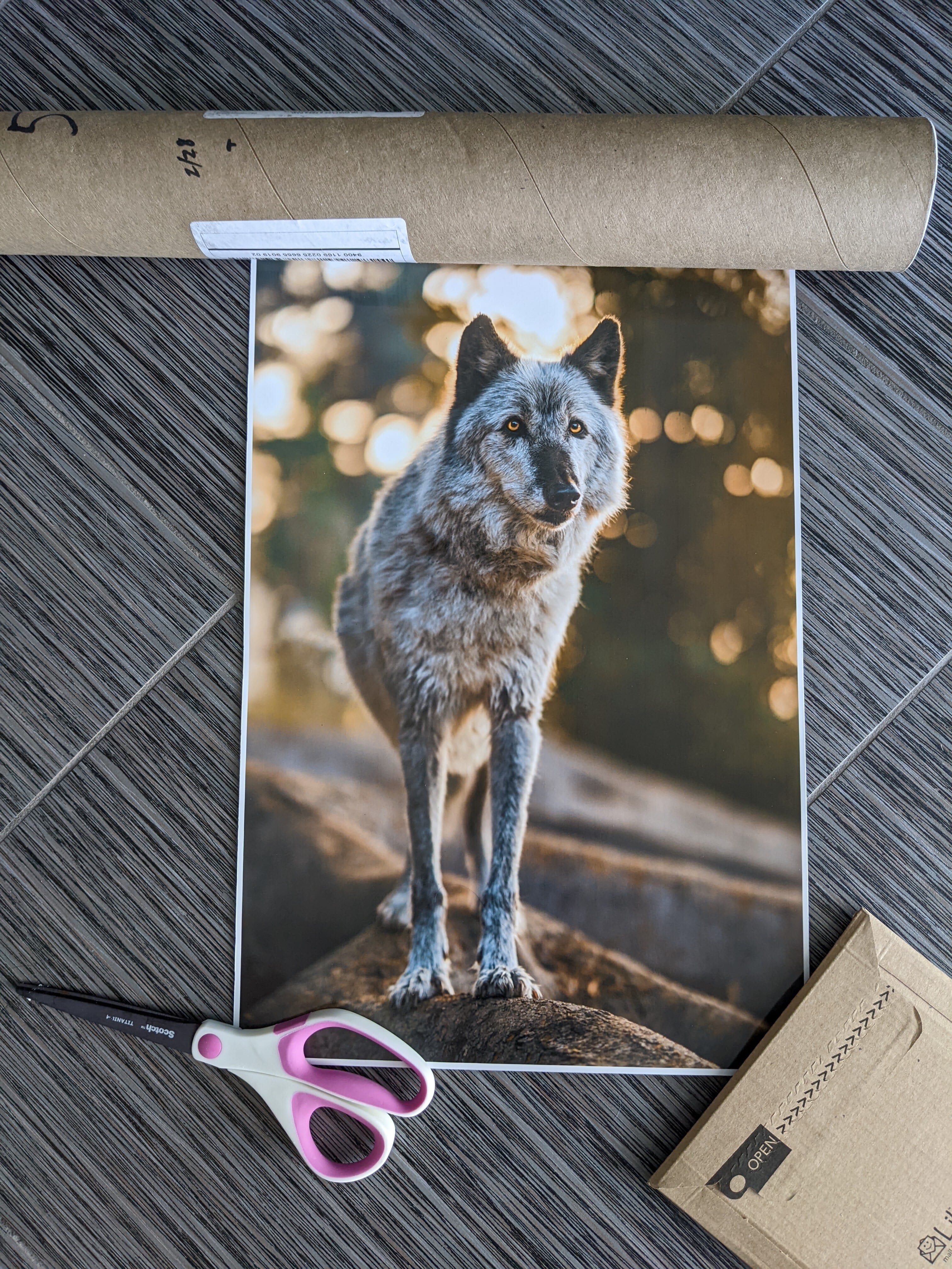 The glossy poster print.