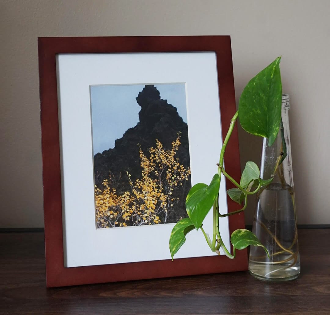 framed fineart print