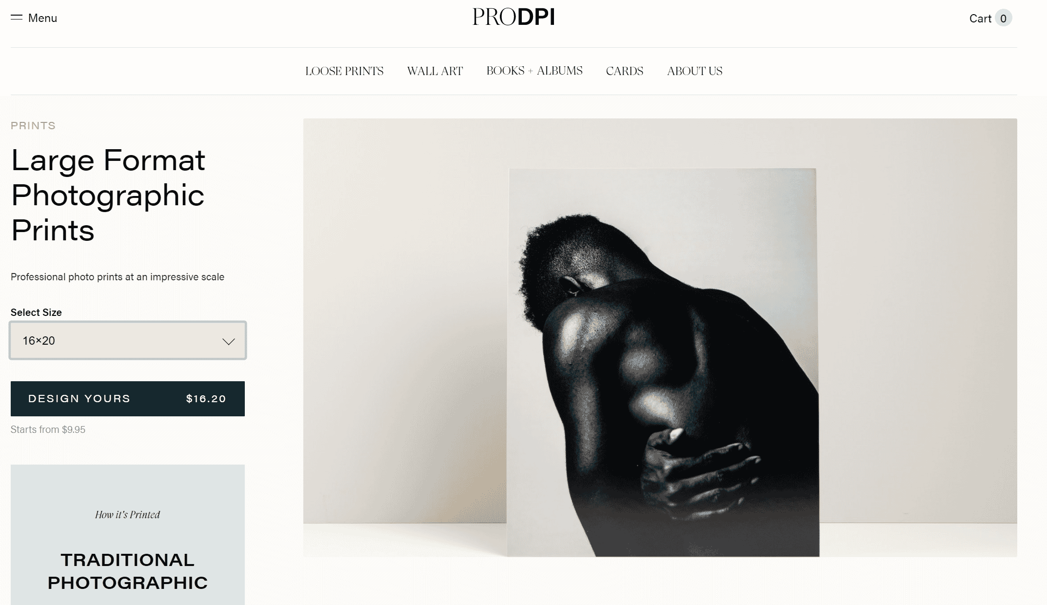ProDPI large prints