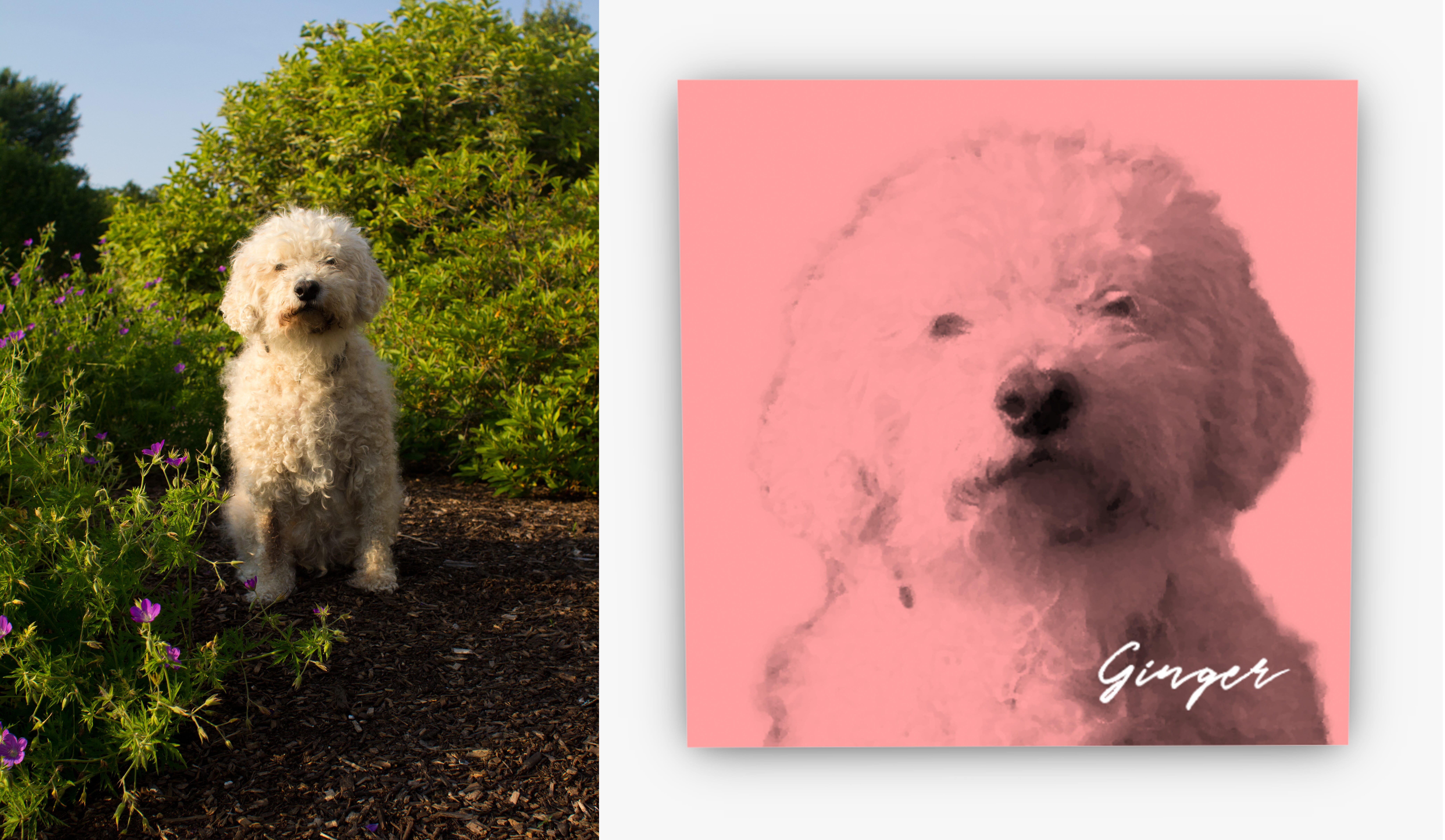 canvaspop vs easycanvas prints canvaspop vs easycanvas prints