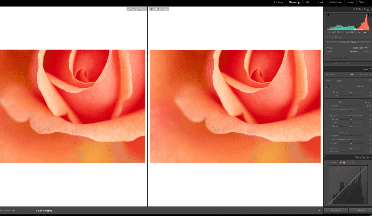 Soft proofing interface in Lightroom showing before and after print simulation