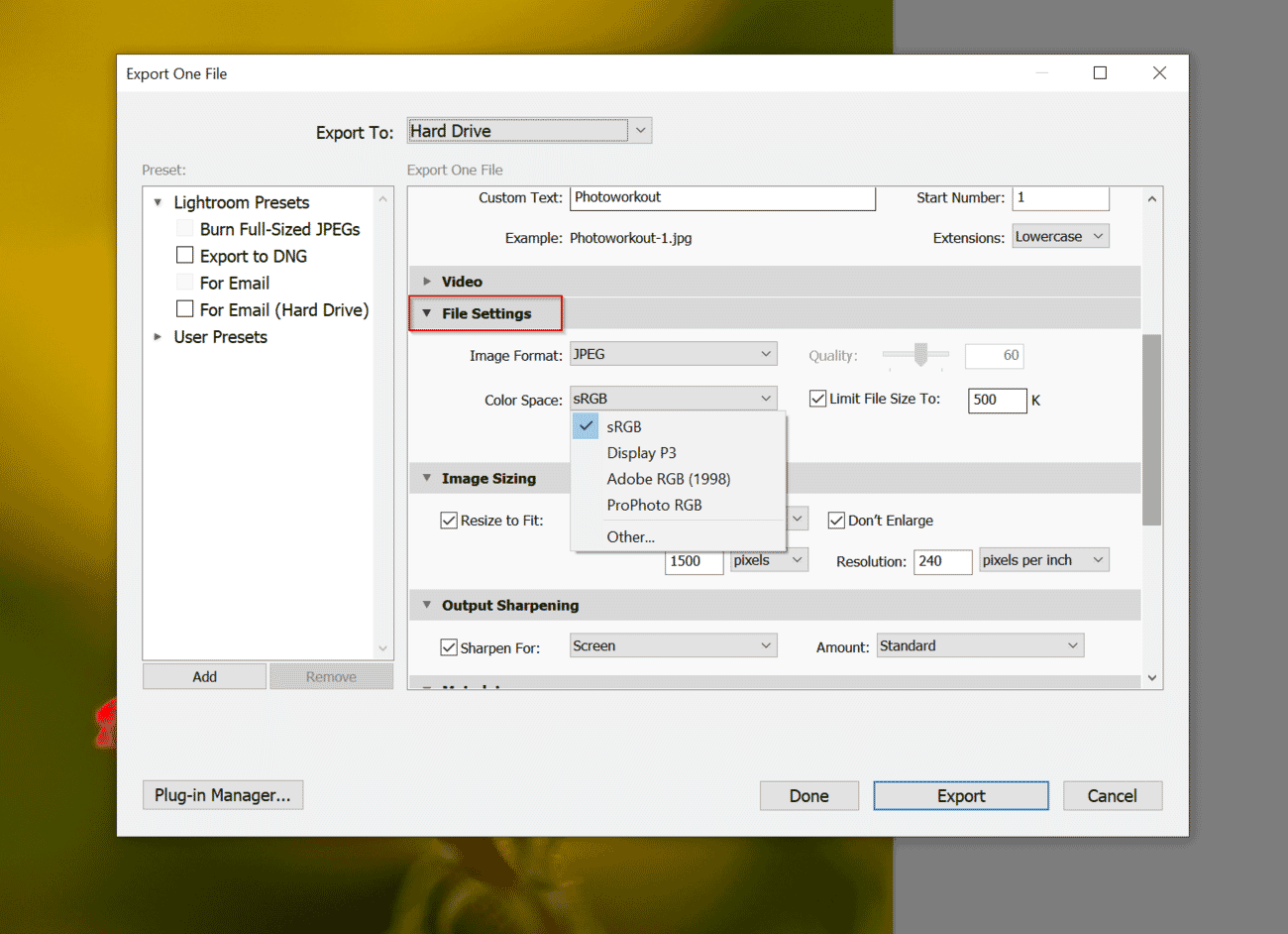 Lightroom export dialog showing color space selection options