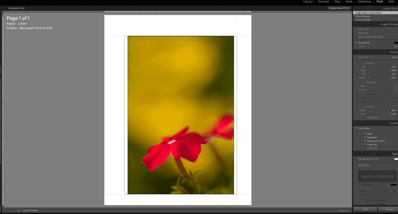 Lightroom Print module layout showing color management options