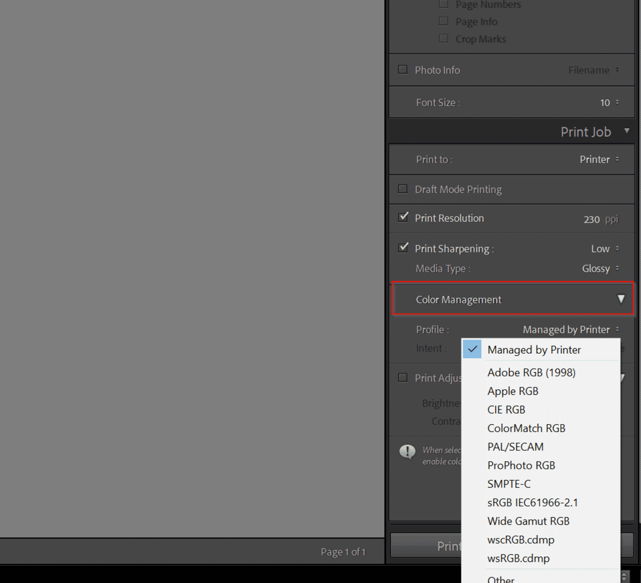 Lightroom Print module color management panel with profile selection