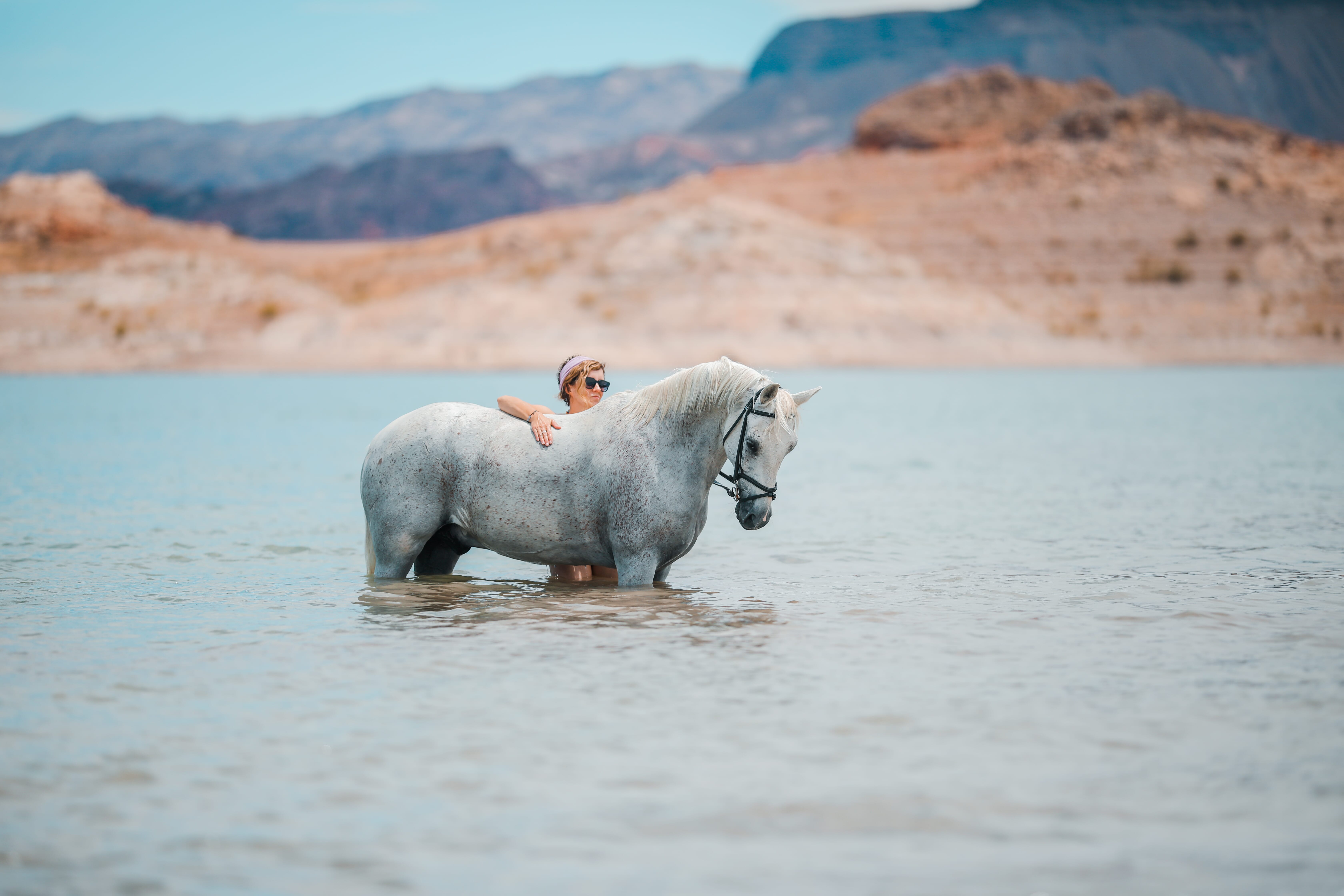 horse and rider in the water