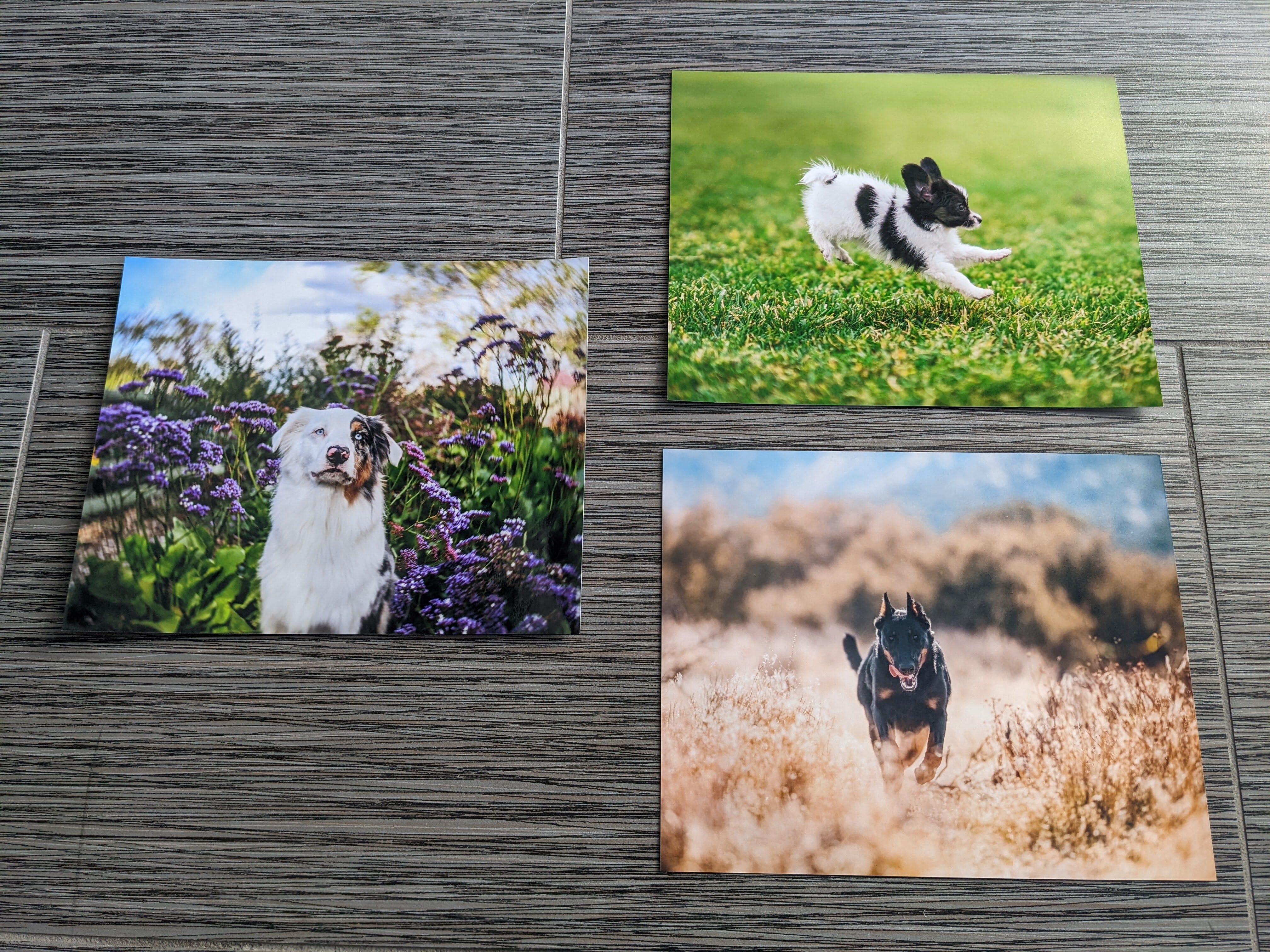three Printique prints