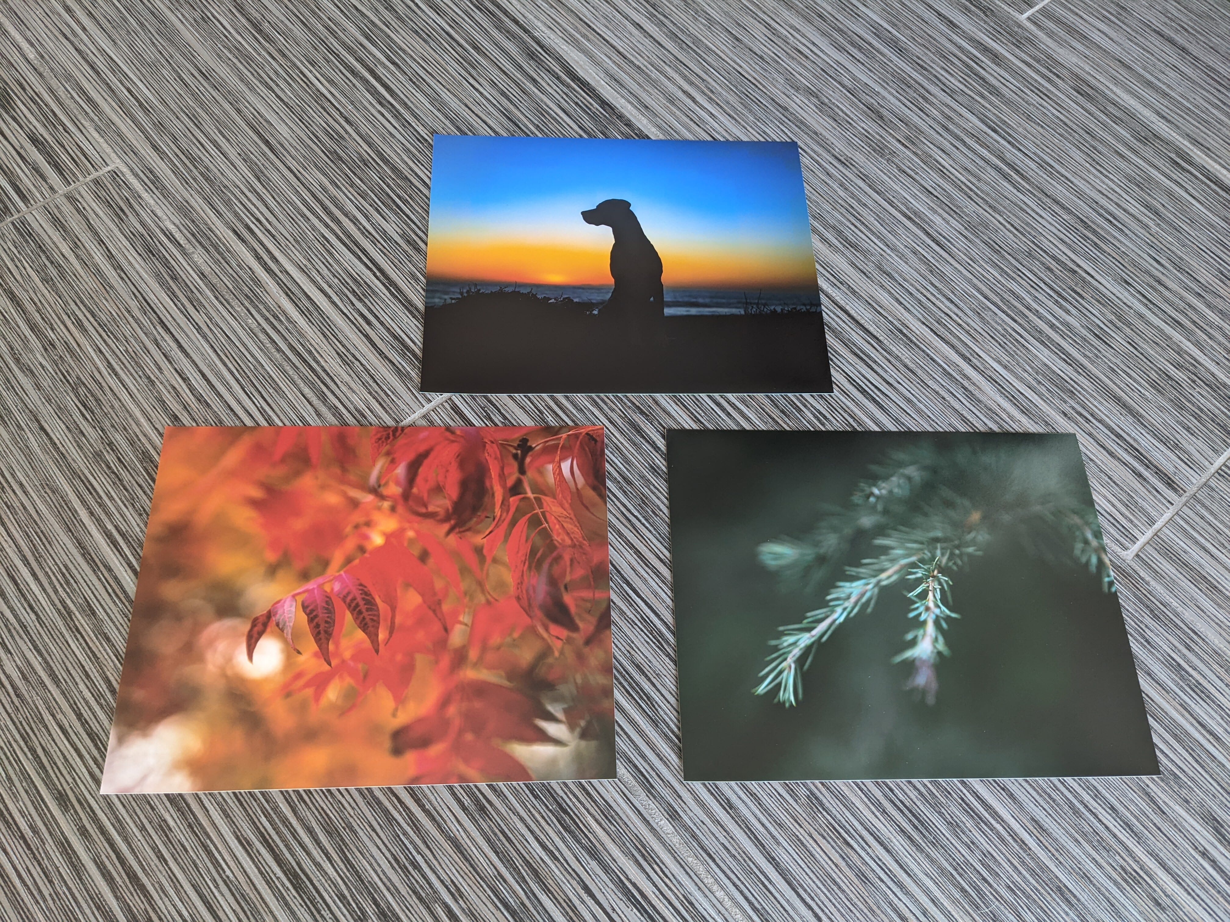 fastest photo printing service our Mpix prints