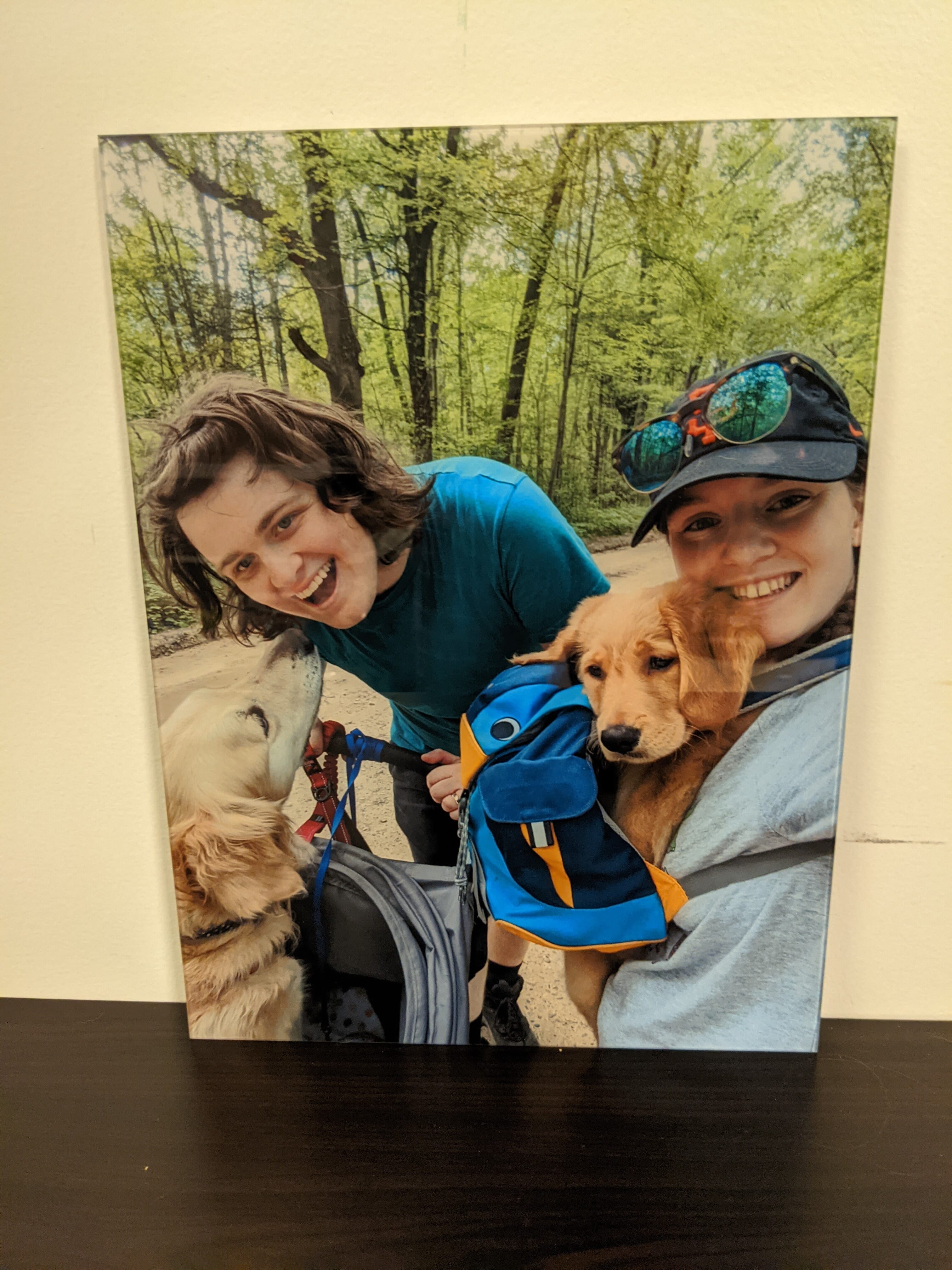 large print of dogs and people