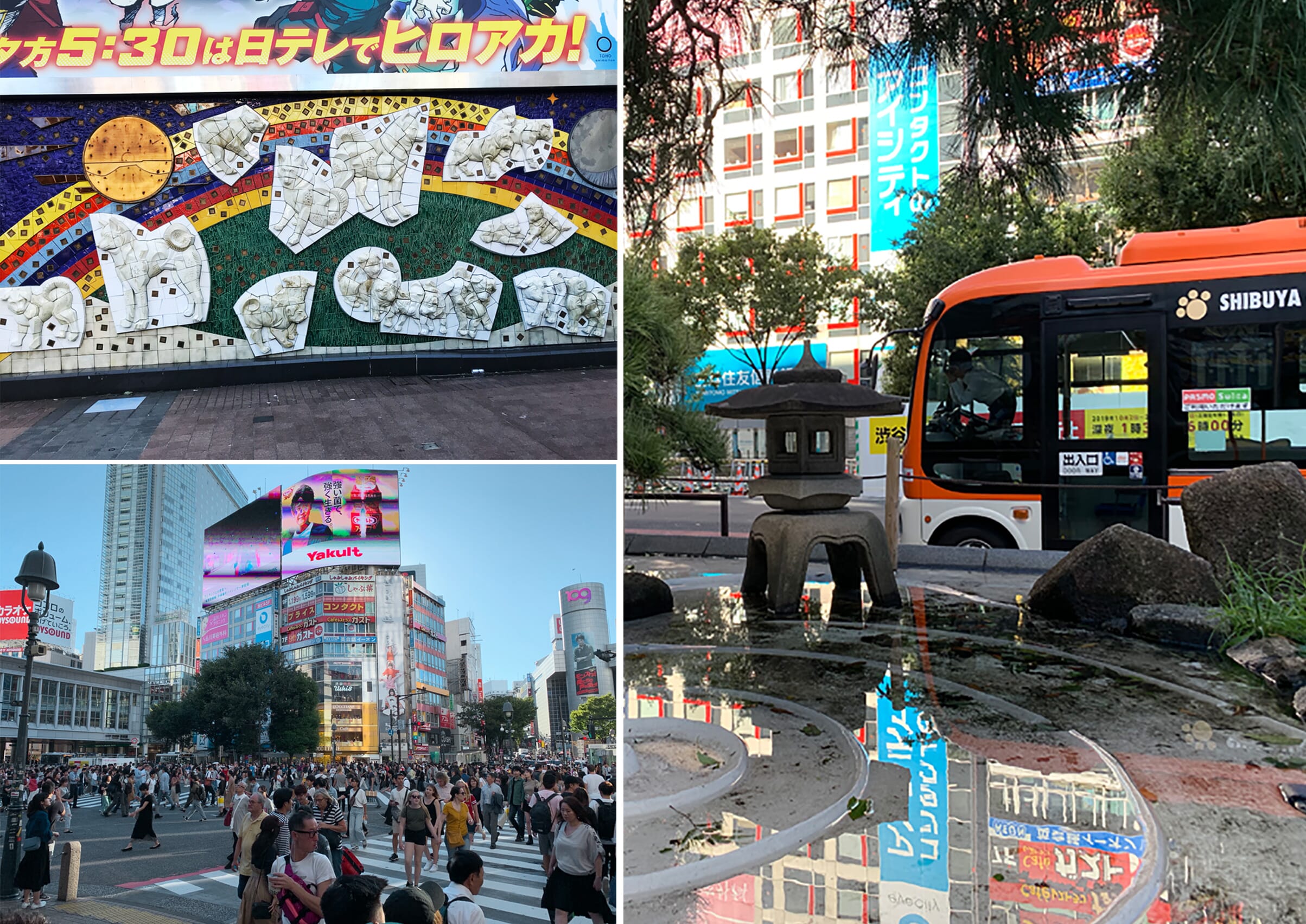 Scenes from Shibuya Station