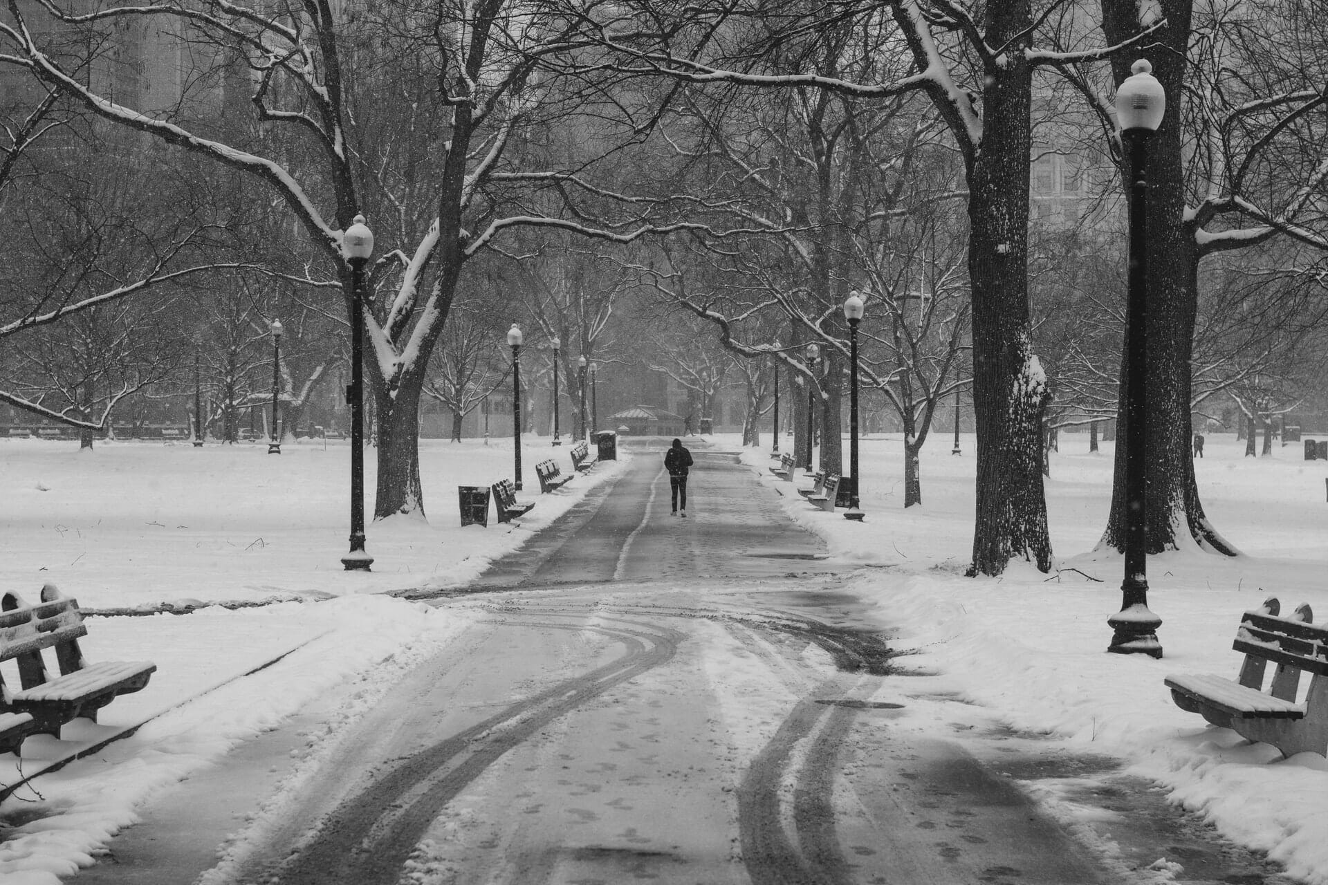Boston Common covered in snow