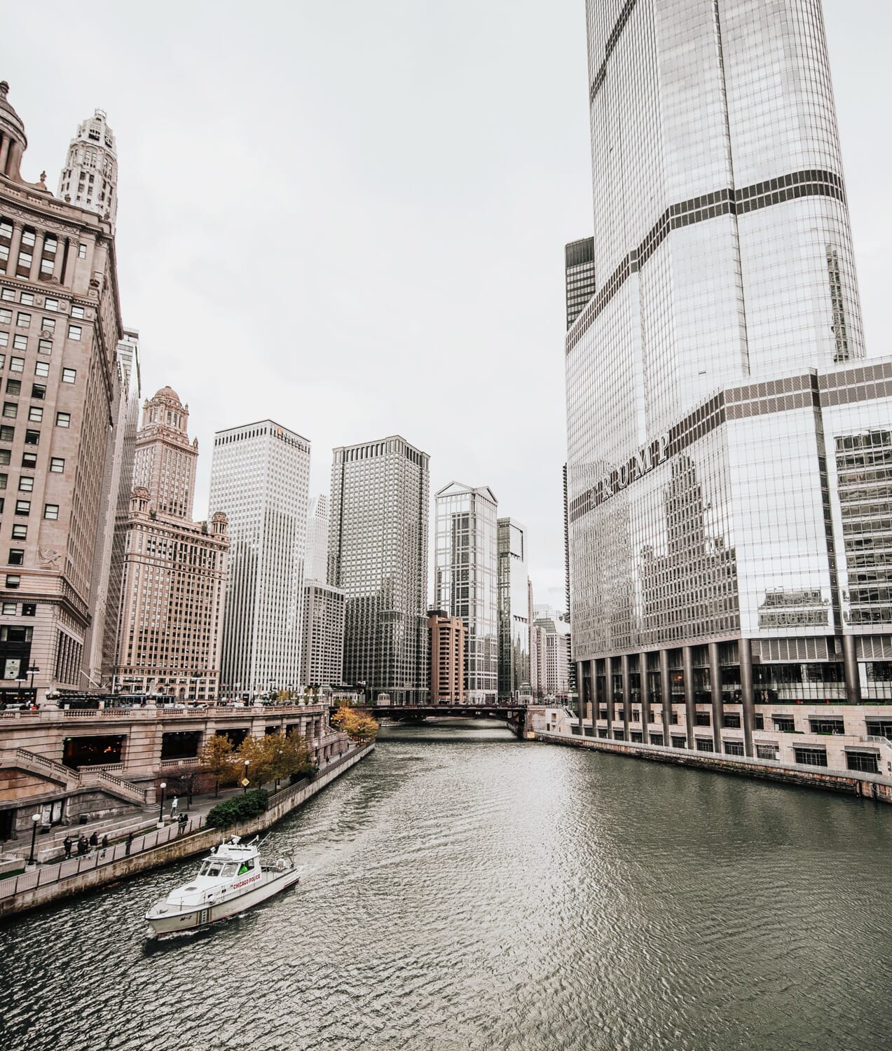 Skyscrapers surrounding the Chicago River