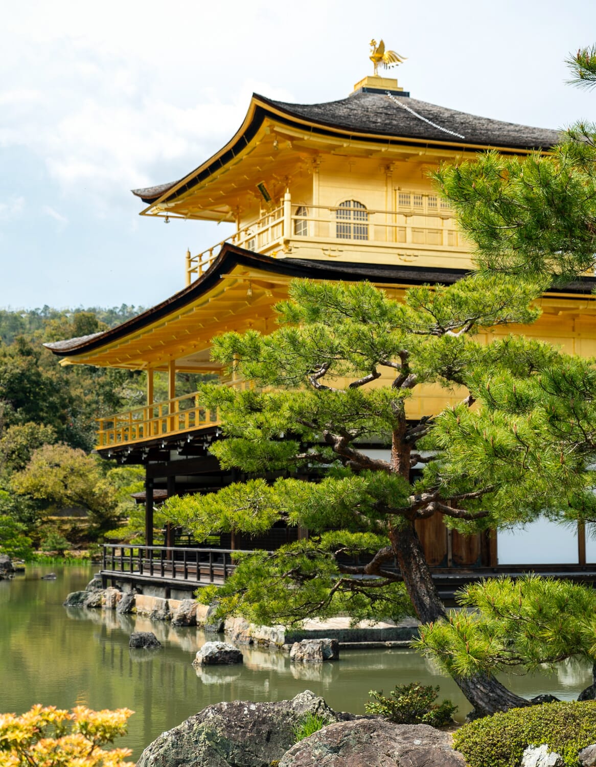Summer at Kinkaku-ji (The Golden Temple)