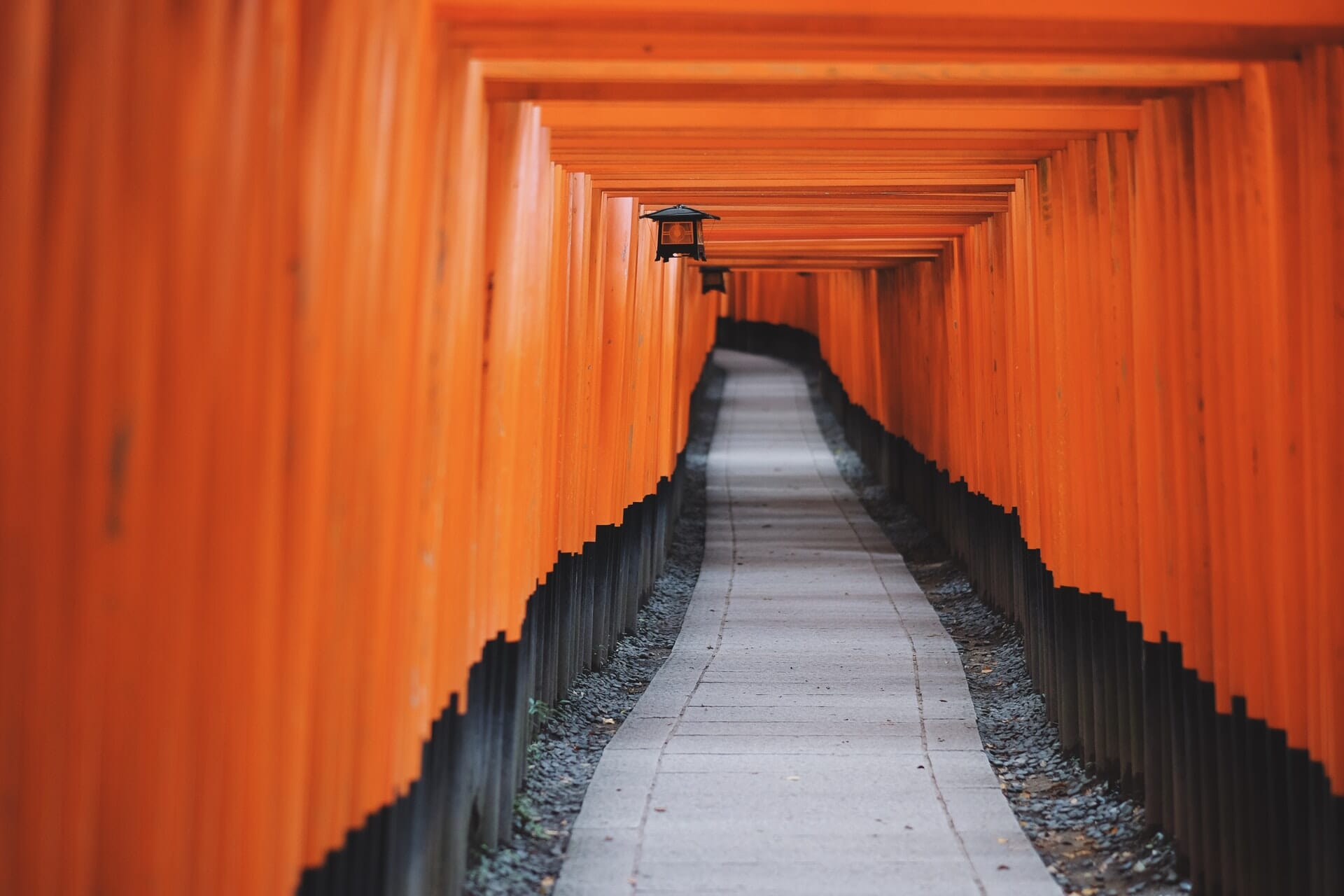 Rows of red torii gates at Fushimi Inari Shrine