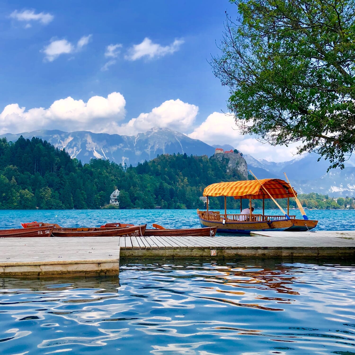 A traditional Pletna boat at Lake Bled