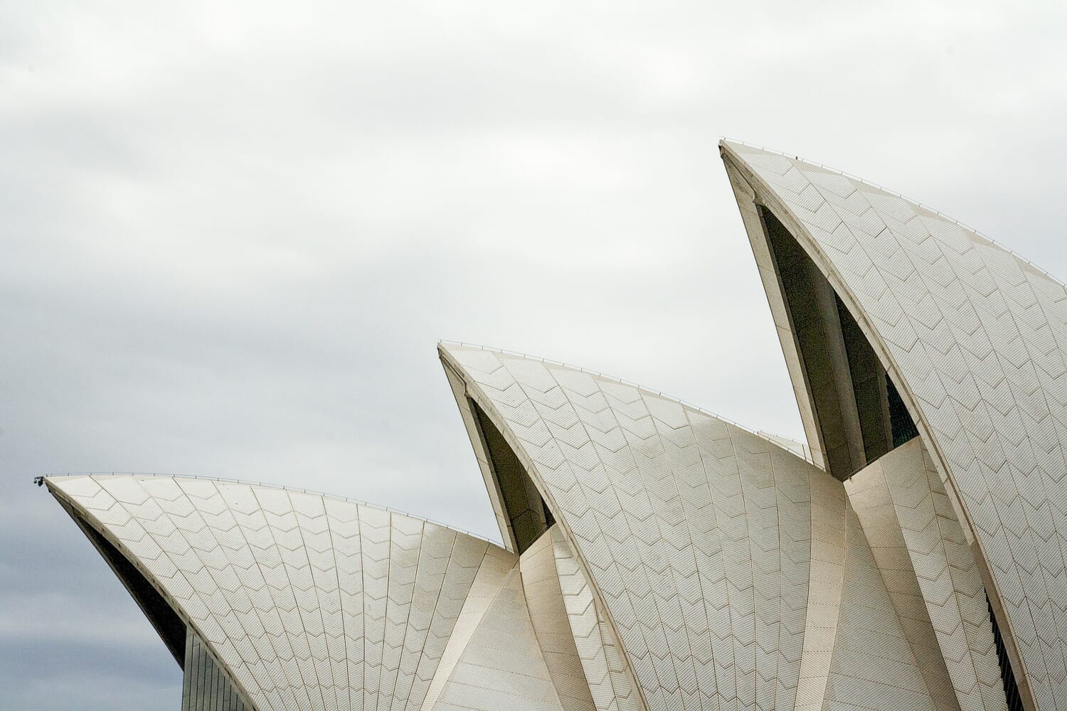 Close up details of the Sydney Opera House