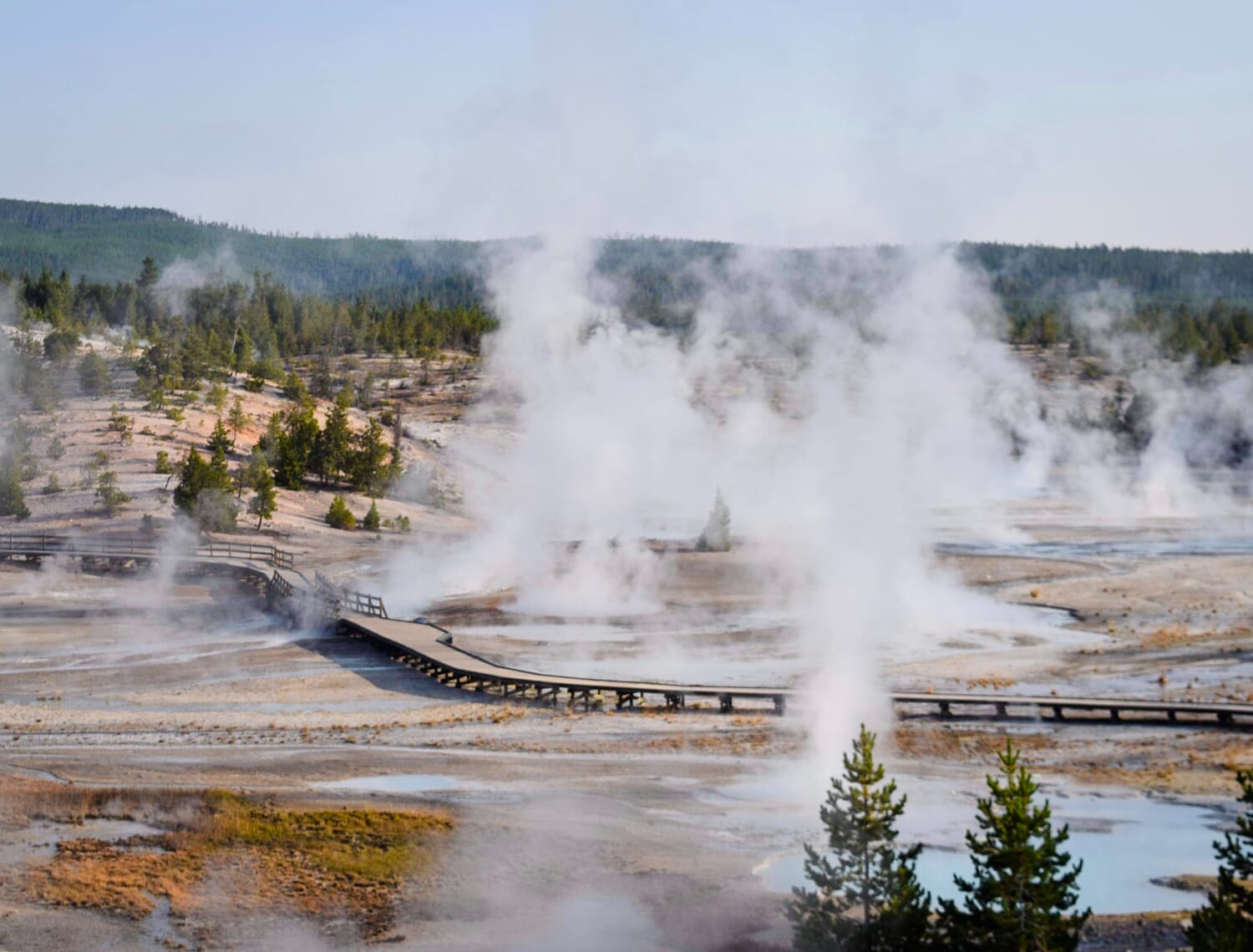 A boardwalk weaving through Norris Geyser Basin