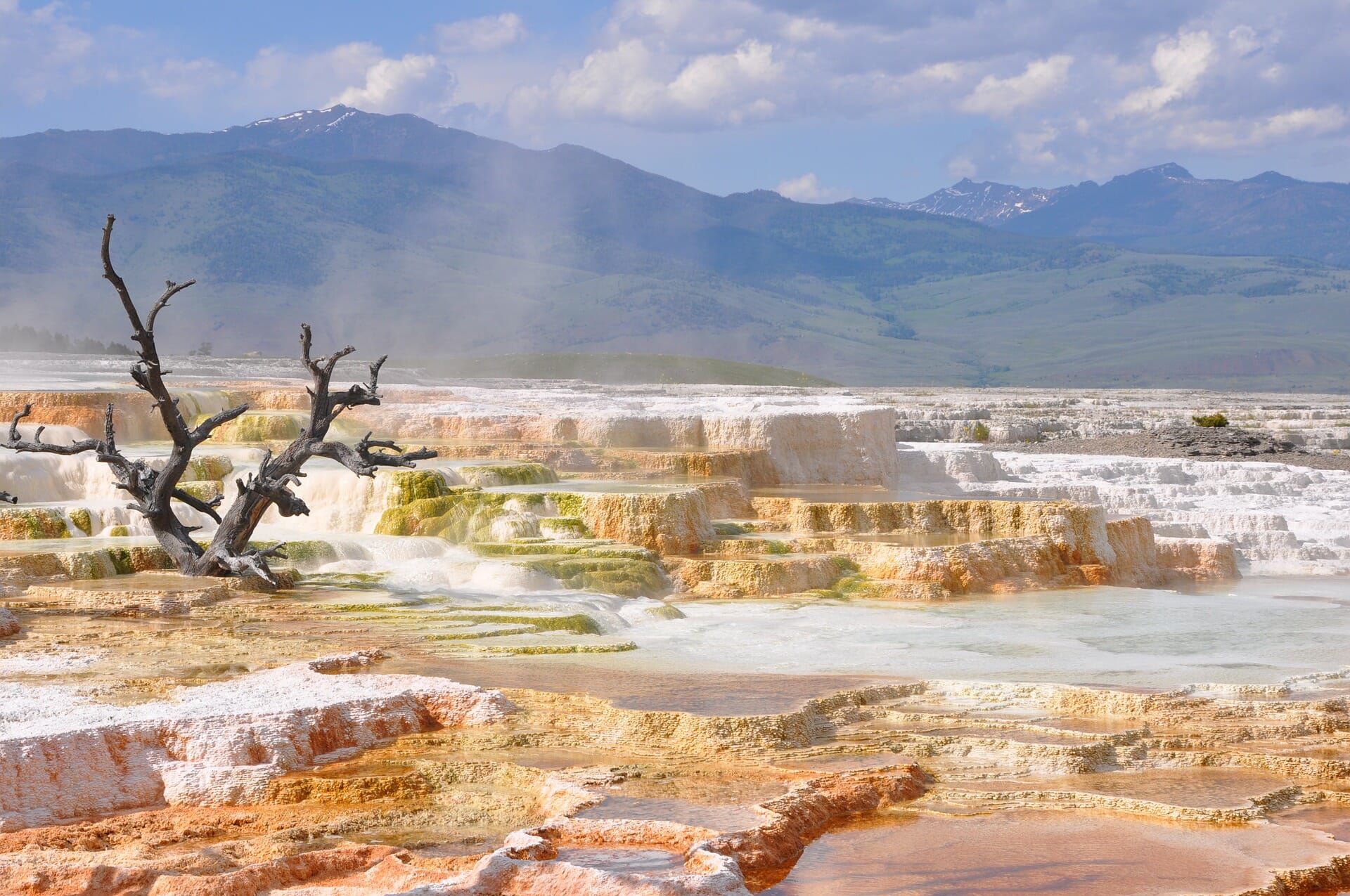 Steaming pools at Mammoth Hot Springs