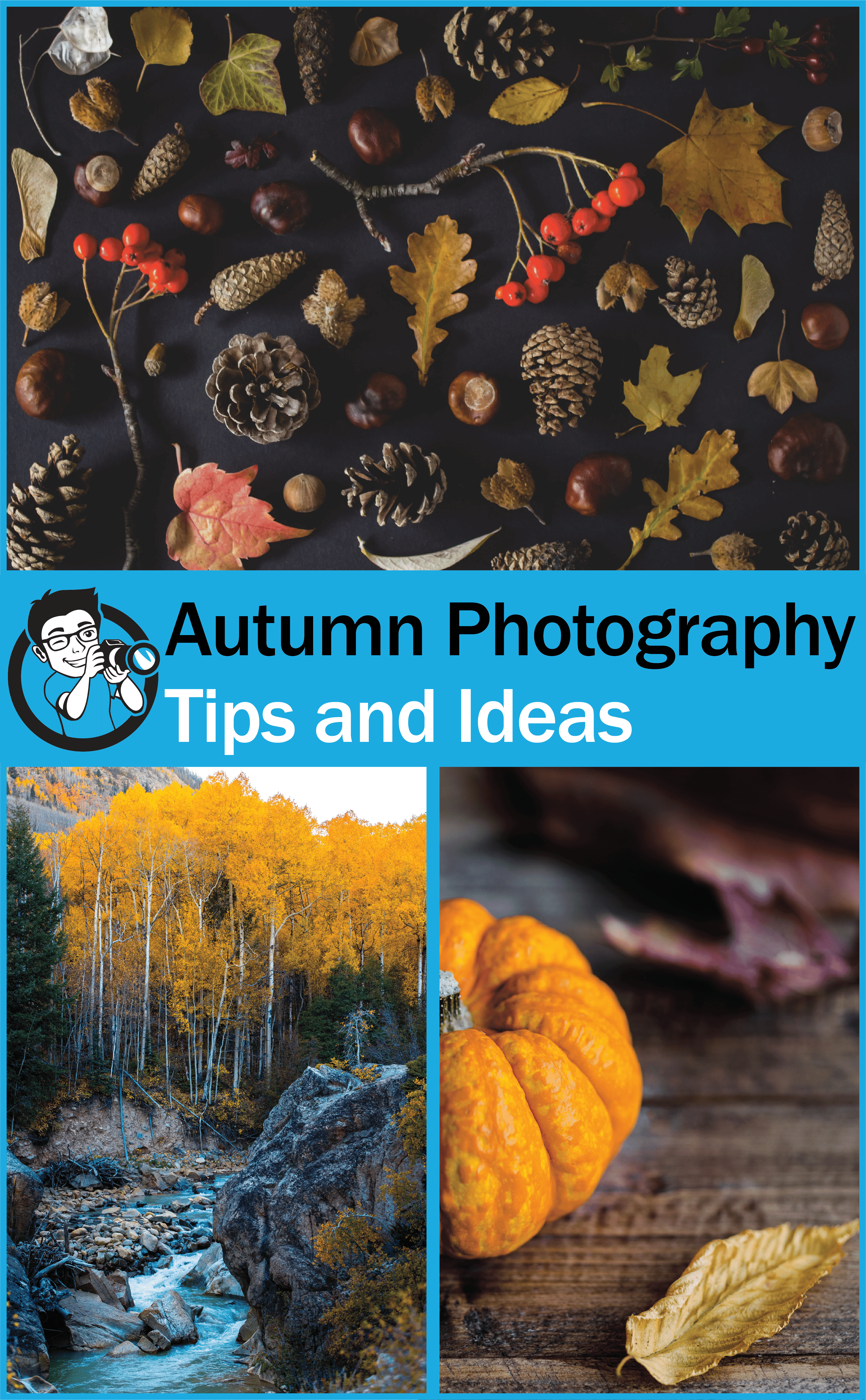 autumn photography tips and ideas