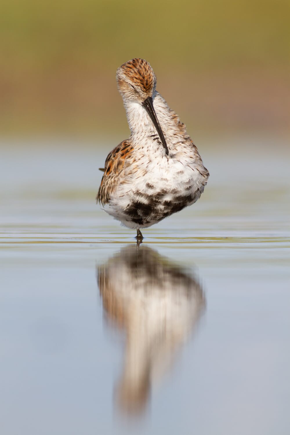 shutter speed sharp image