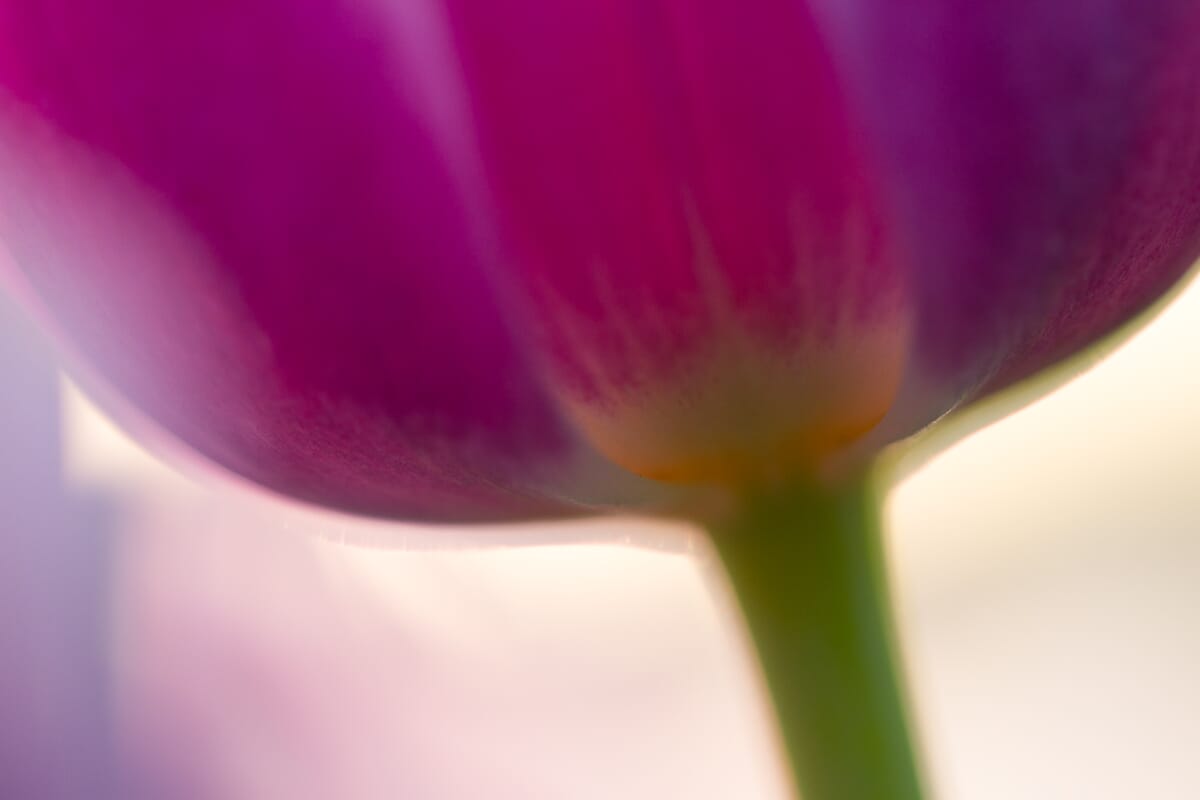 Aperture example