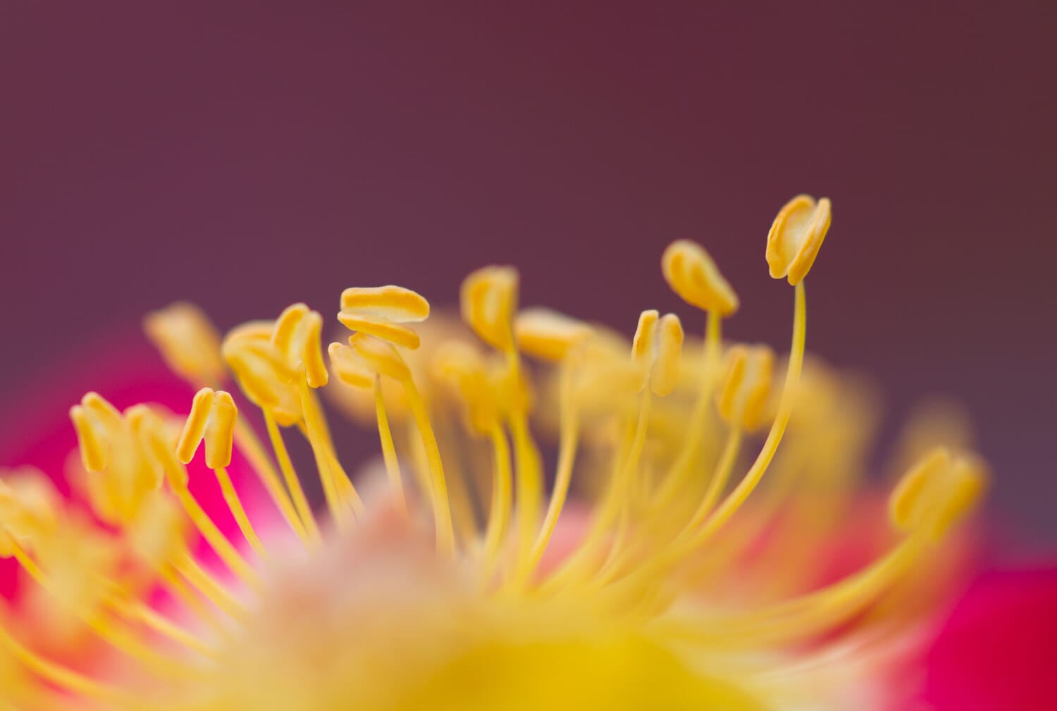 Using your camera settings to get the best pictures