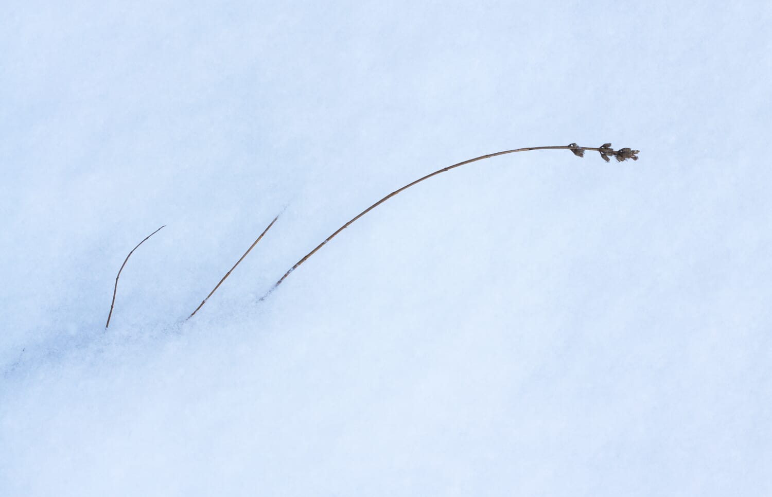 narrow aperture