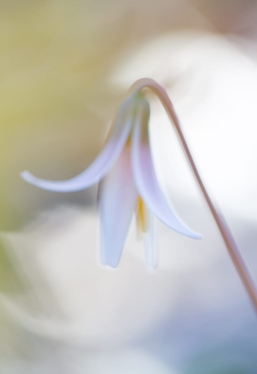 Wide aperture