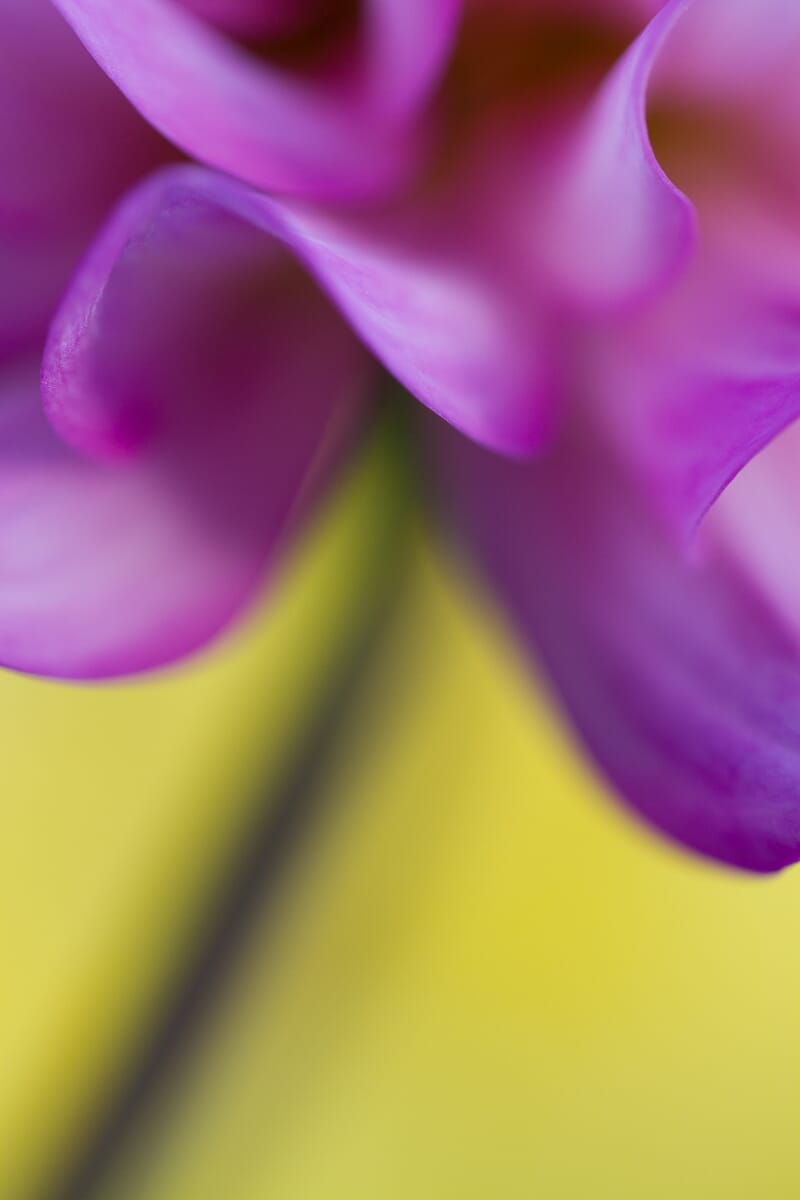 Aperture and focus