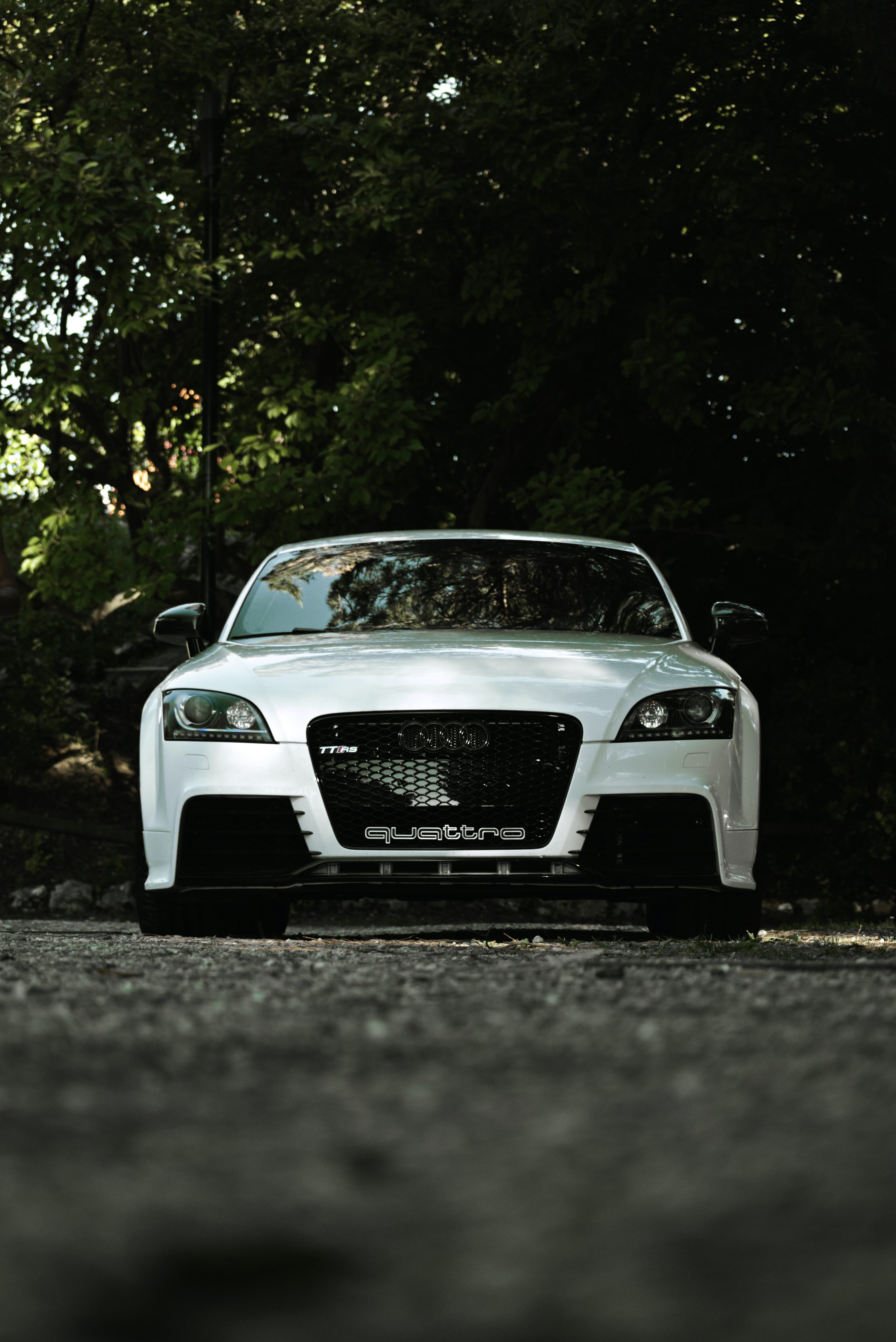 shoot from a low angle
