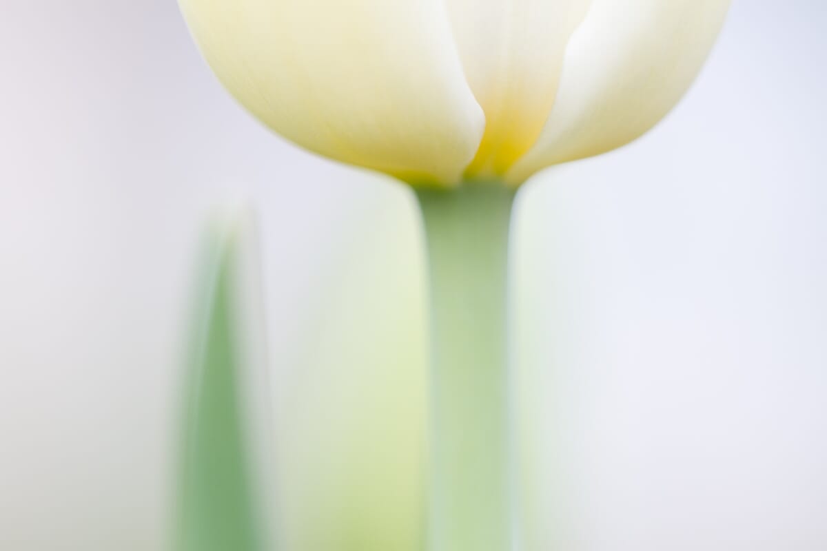 dslr settings 12