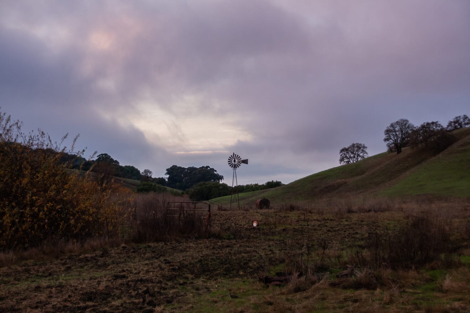 black foreground