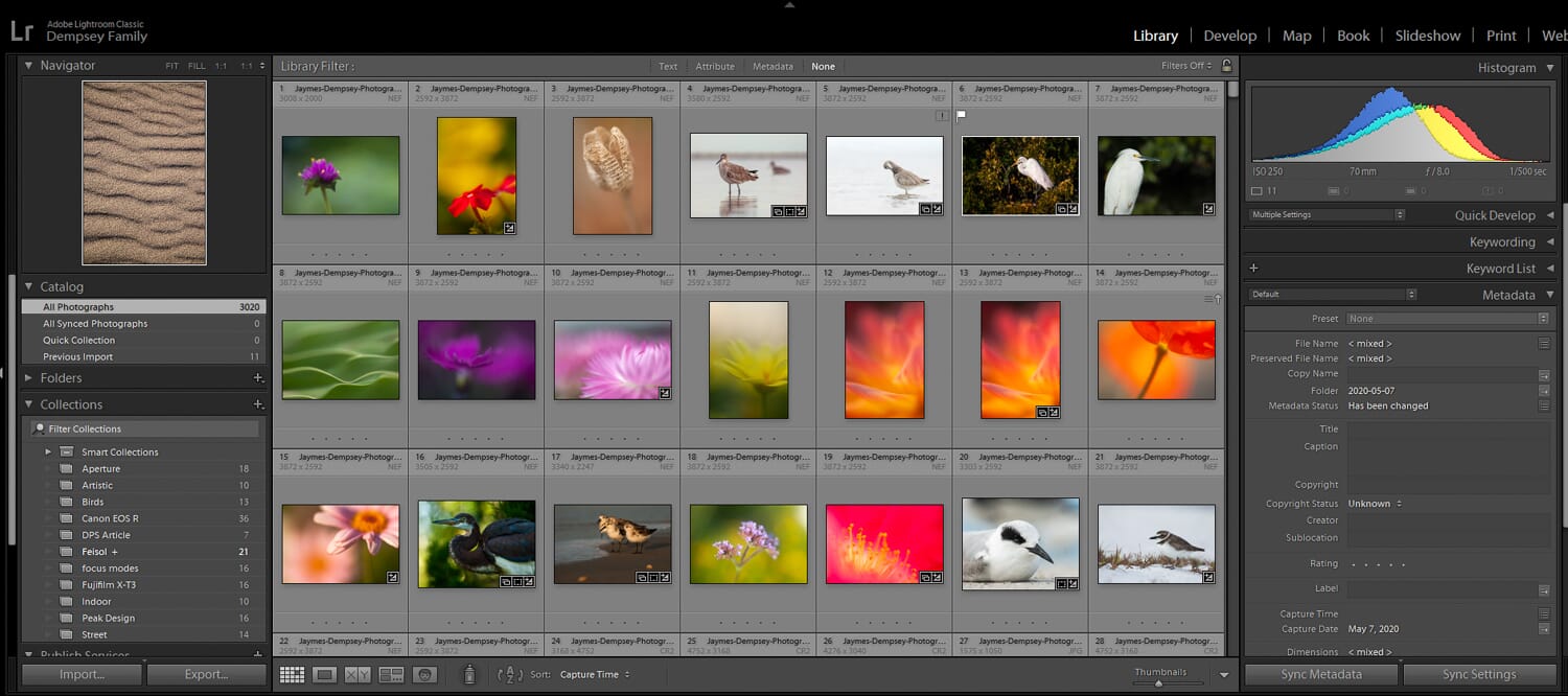 using a photo editing software
