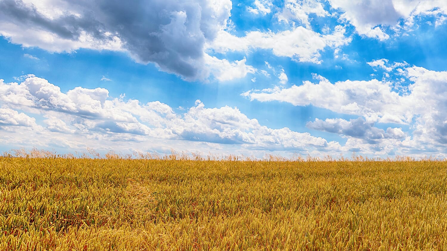 using exposure bracketing