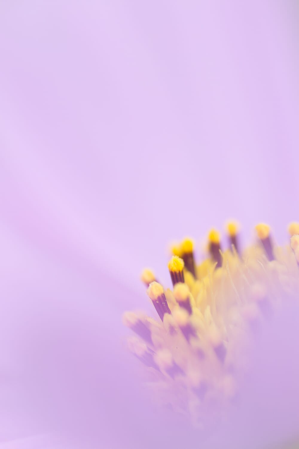 exposure compensation 2