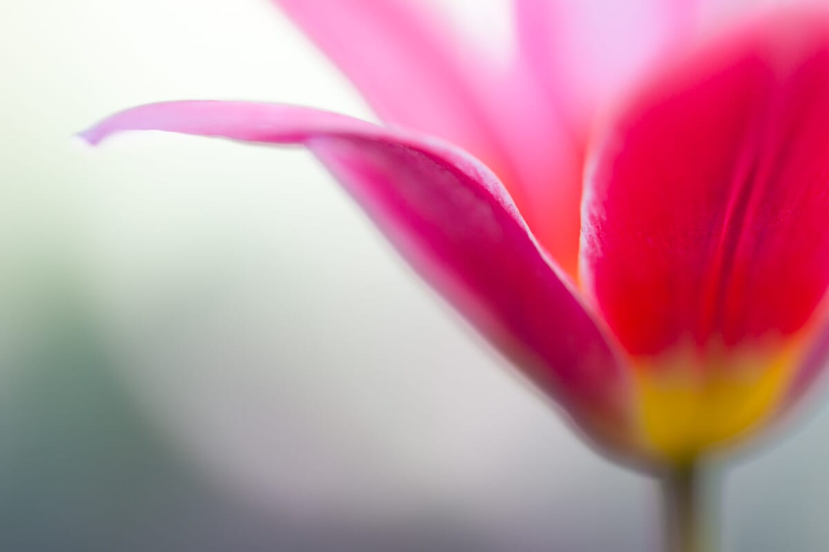 exposure compensation 8