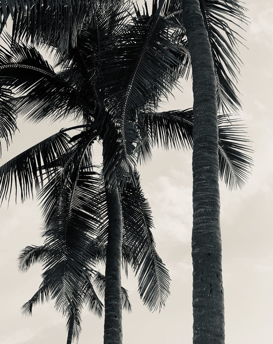Your smartphone camera can take impressive shots, like this.