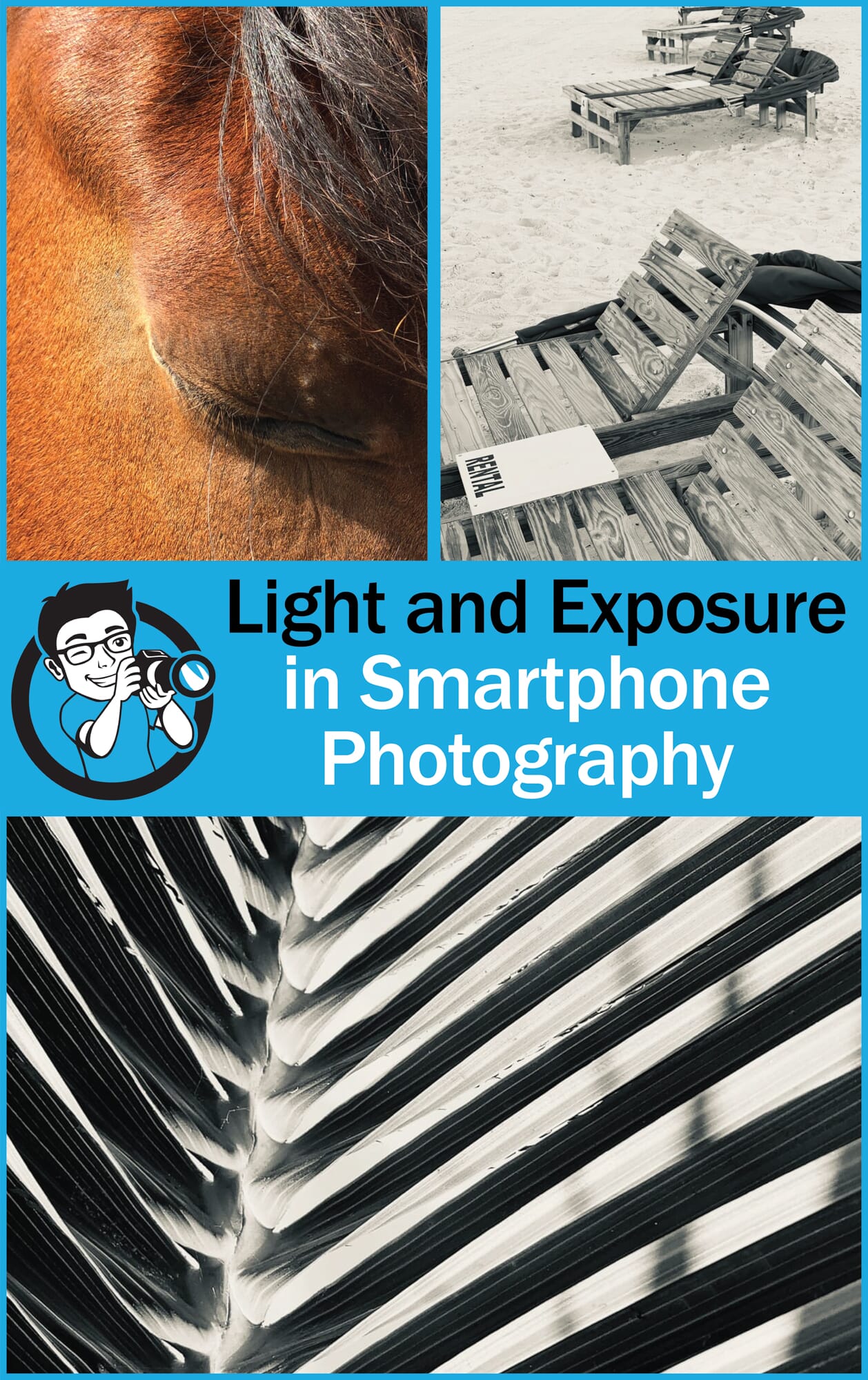 Light and exposure in smartphone photography