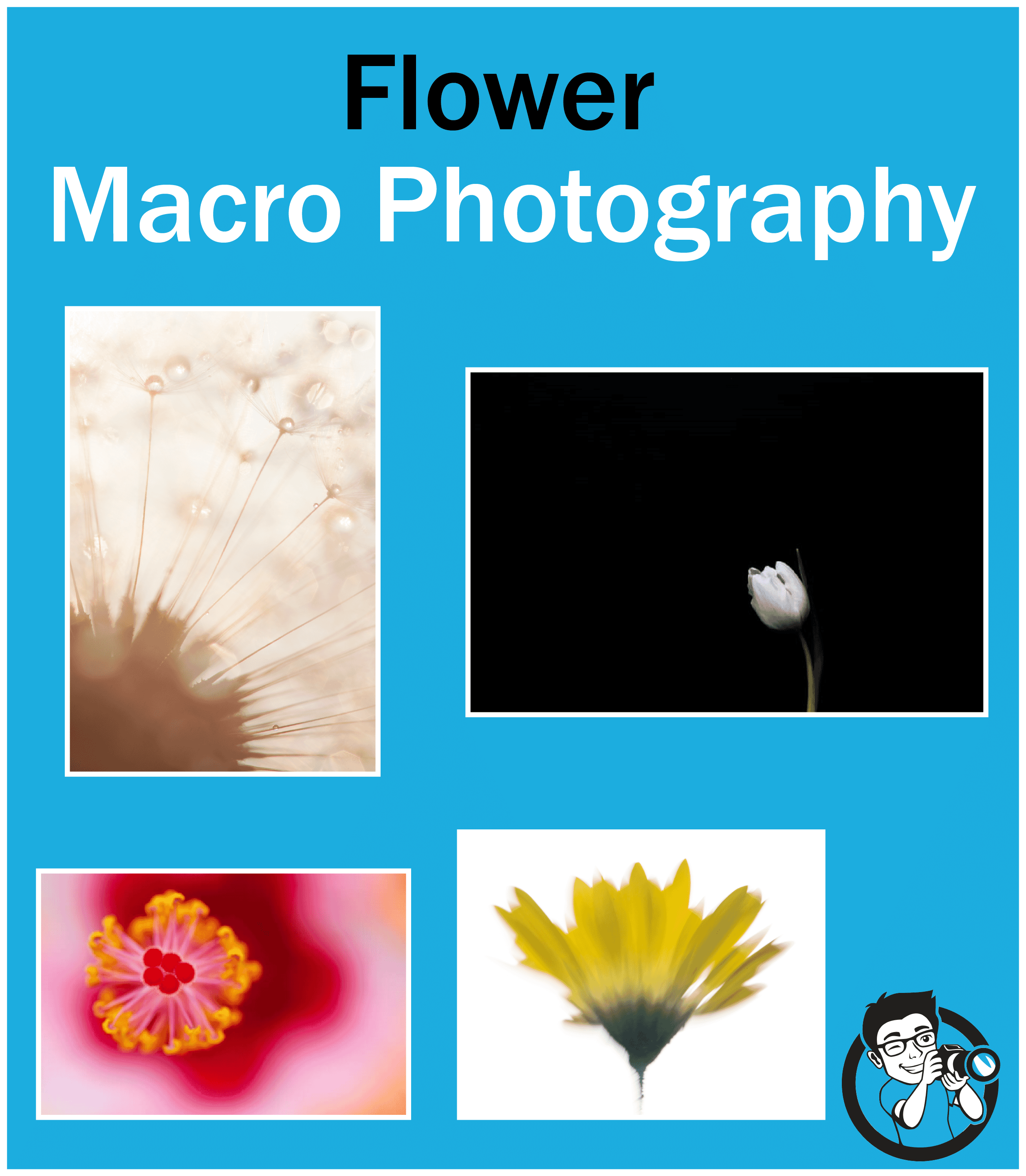 flower macro photography